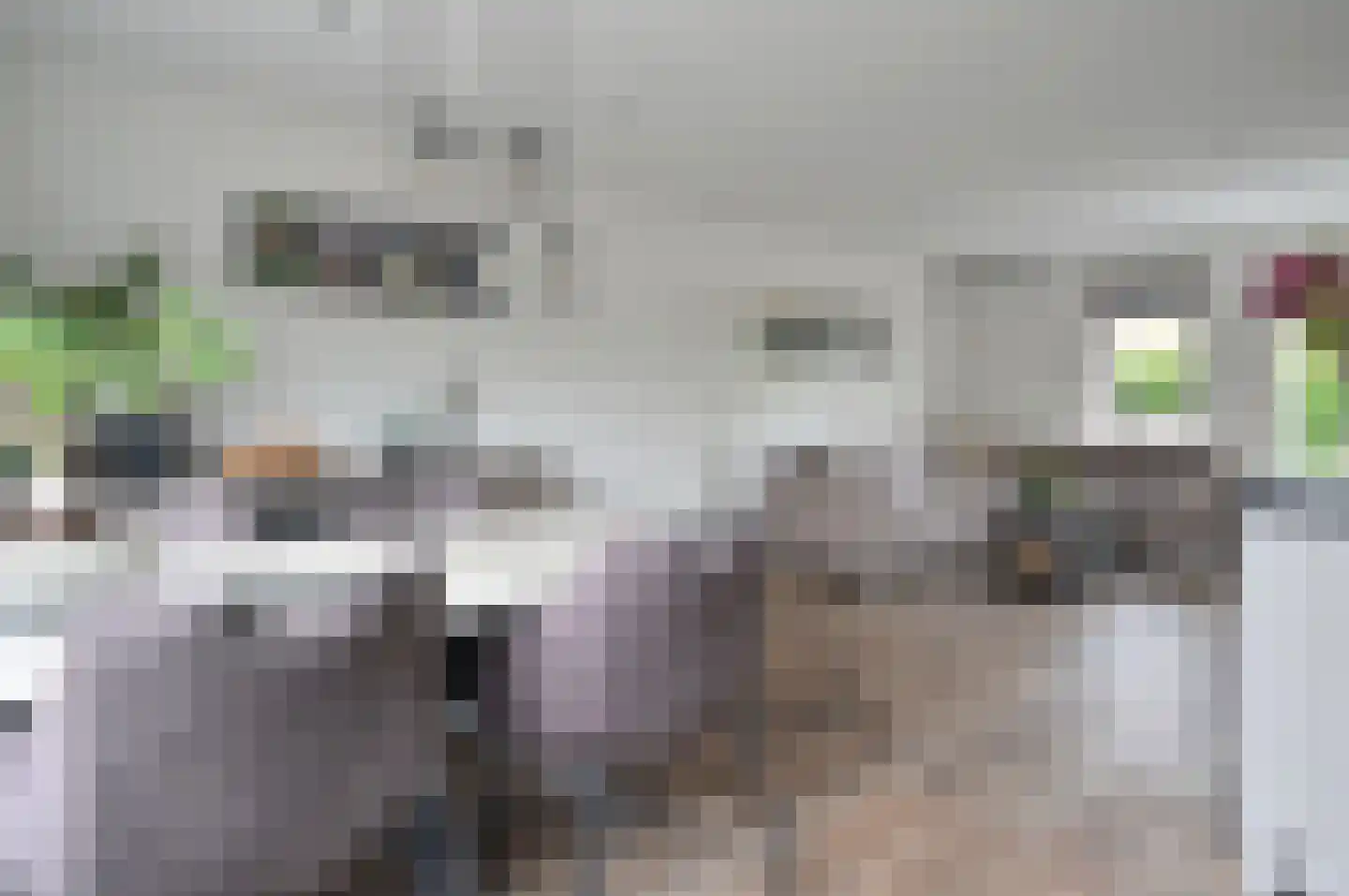 Schootvork 1 Eemnes thumbnail 7