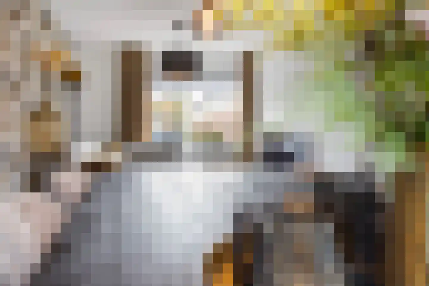 Schopenhauerstraat 117 Apeldoorn thumbnail 10