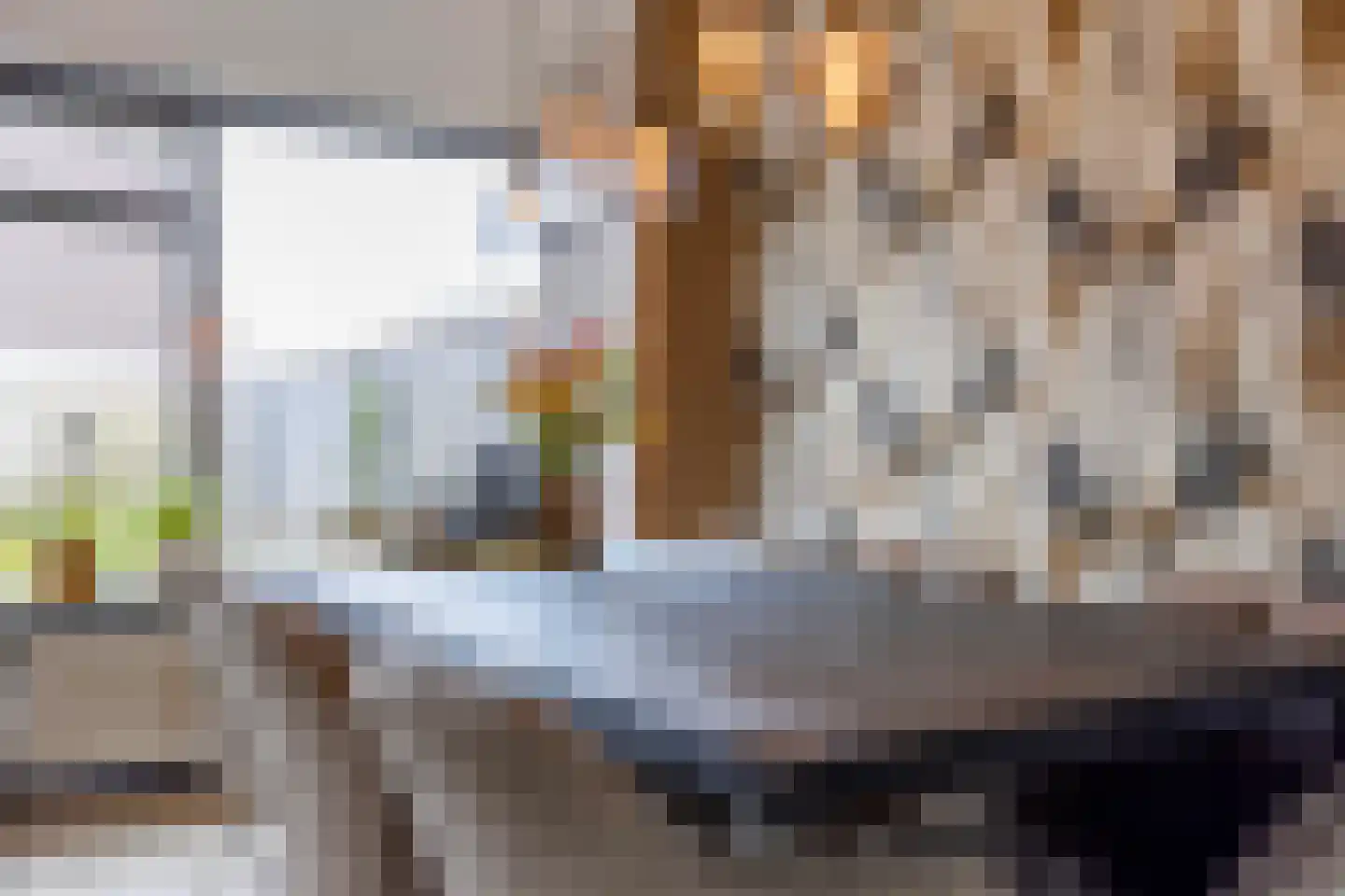 Schopenhauerstraat 117 Apeldoorn thumbnail 11