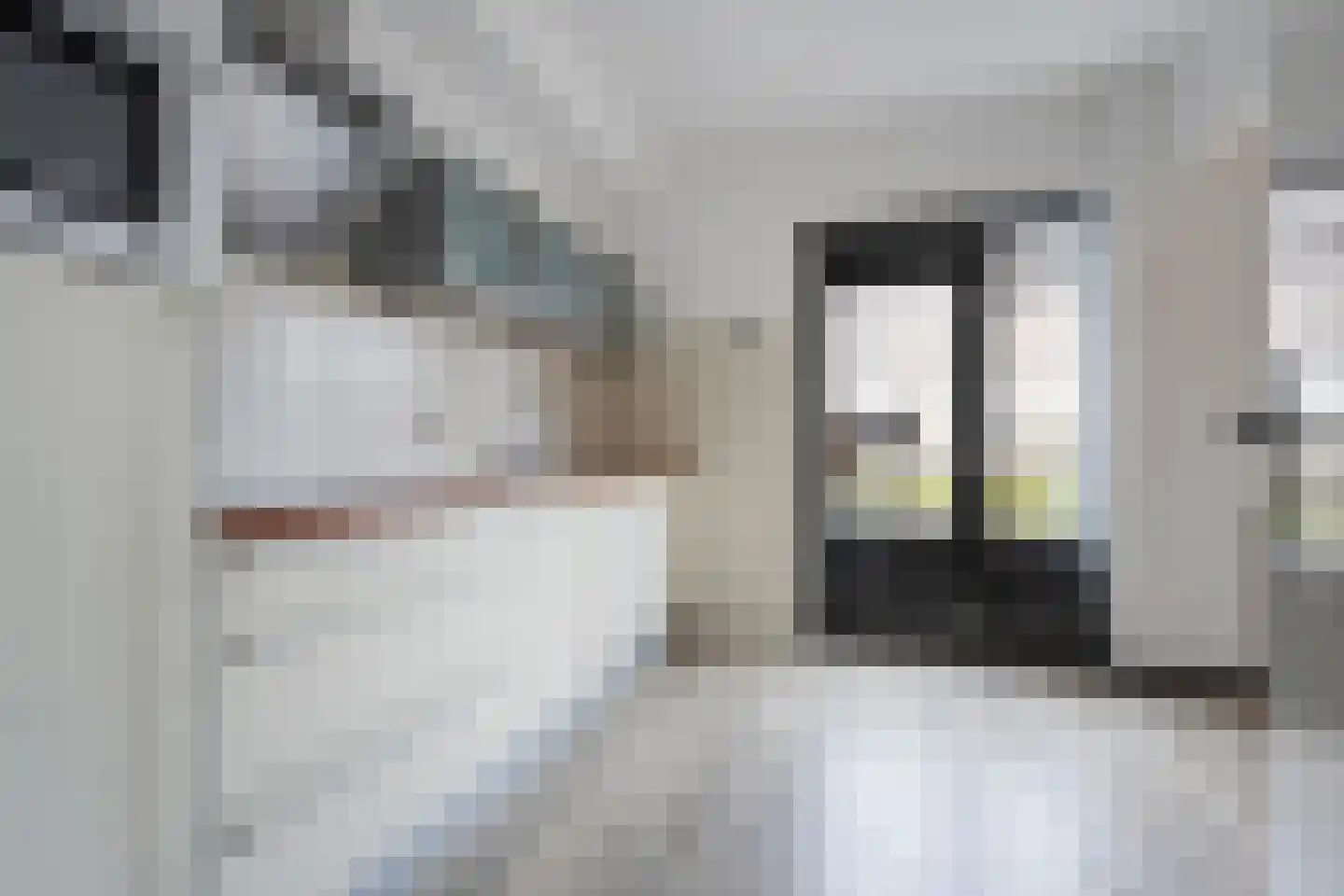 Schopenhauerstraat 117 Apeldoorn thumbnail 14