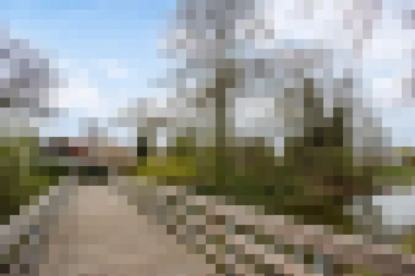 Schopenhauerstraat 117 Apeldoorn thumbnail 37
