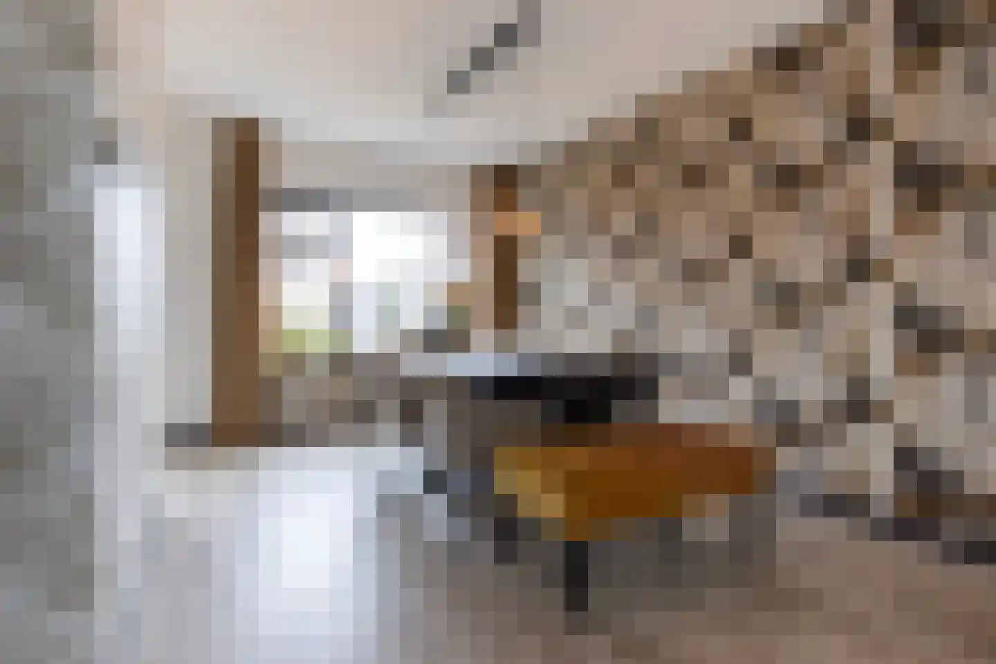 Schopenhauerstraat 117 Apeldoorn thumbnail 9