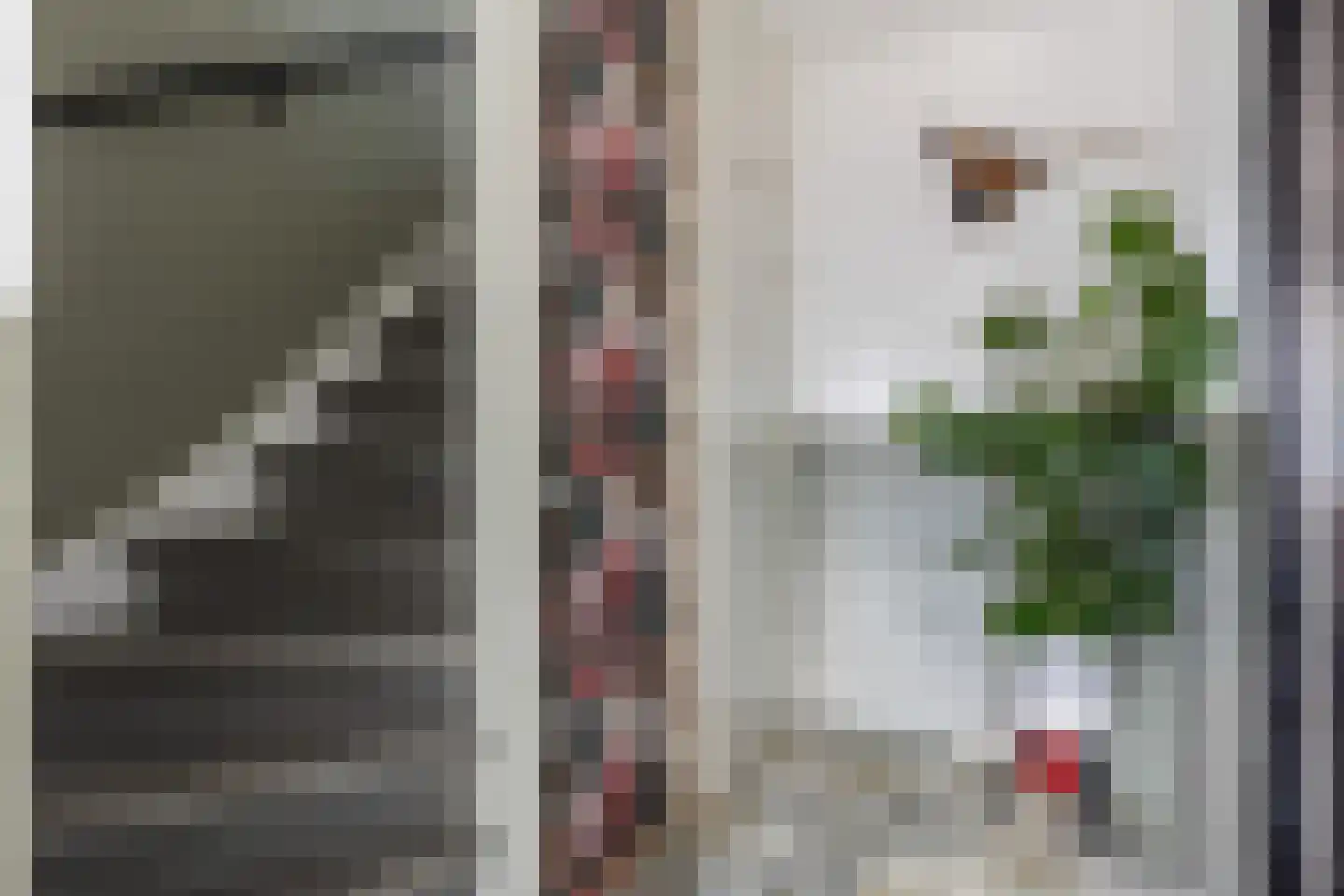 Schopenhauerstraat 121 Apeldoorn thumbnail 15