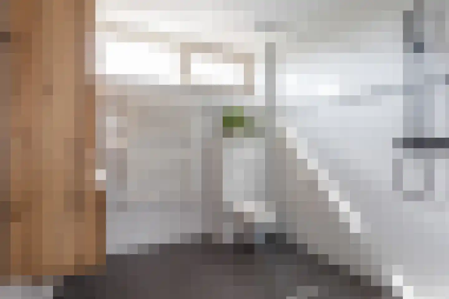 Schopenhauerstraat 121 Apeldoorn thumbnail 20