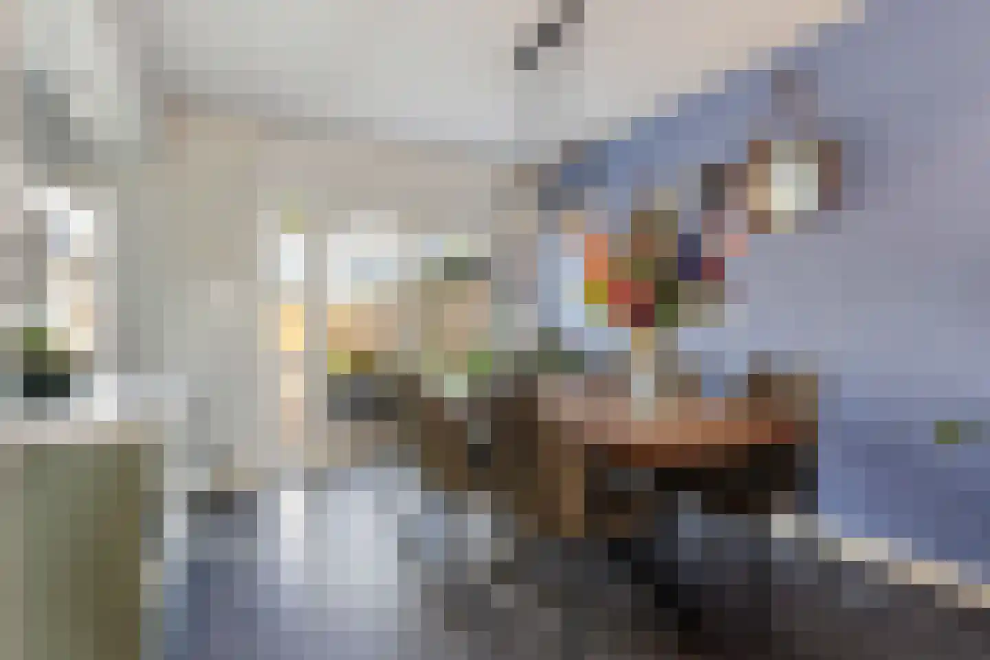 Schopenhauerstraat 121 Apeldoorn thumbnail 6