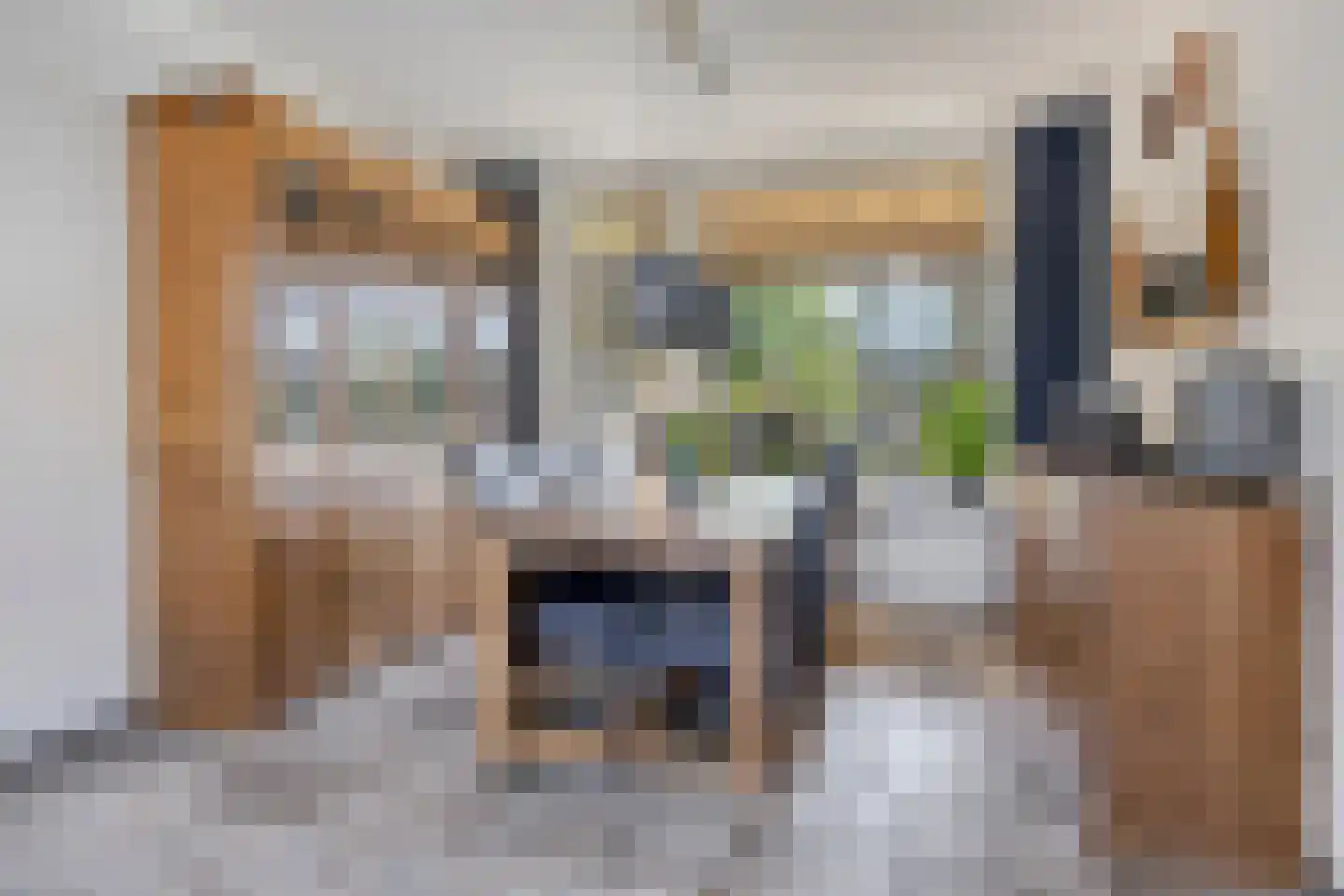 Schopenhauerstraat 231 Apeldoorn thumbnail 10