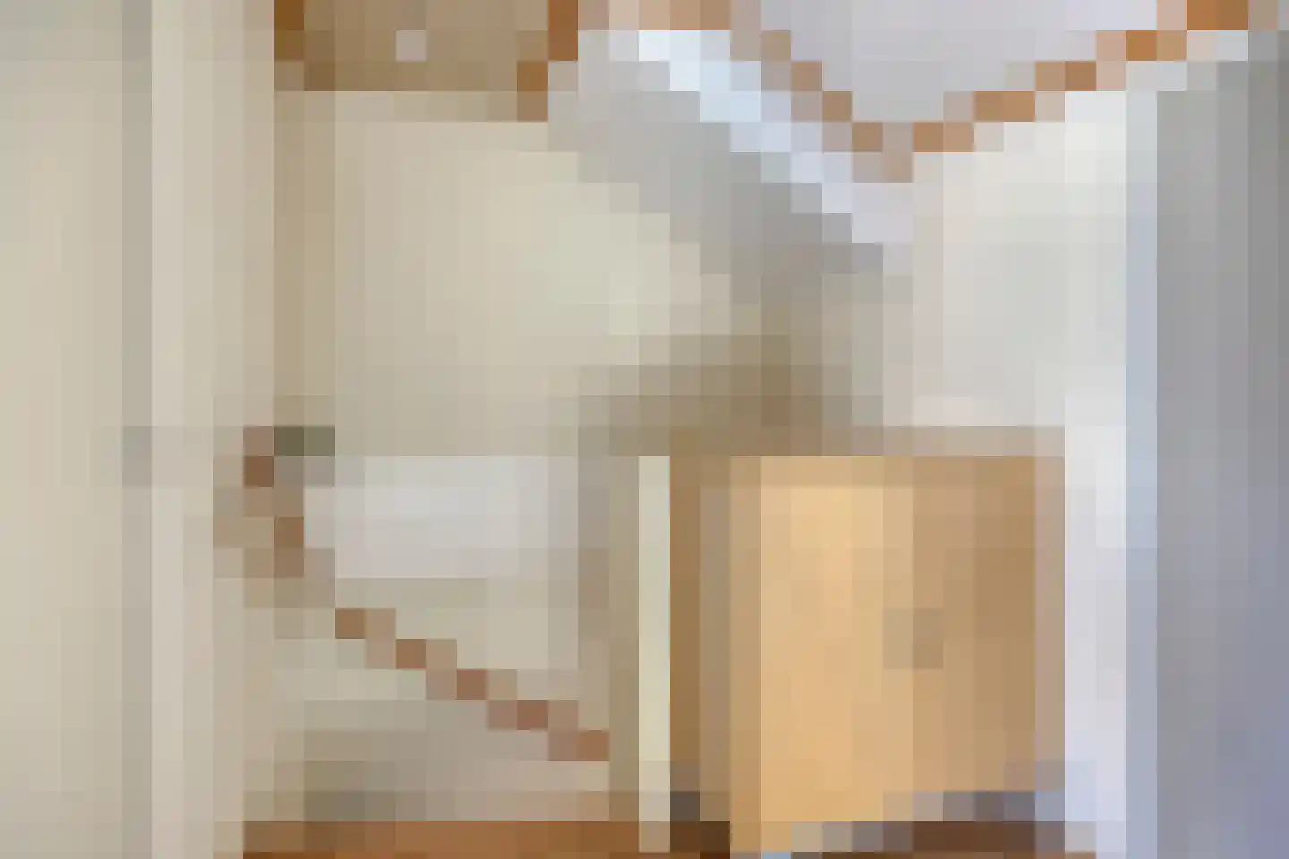Schopenhauerstraat 231 Apeldoorn thumbnail 25