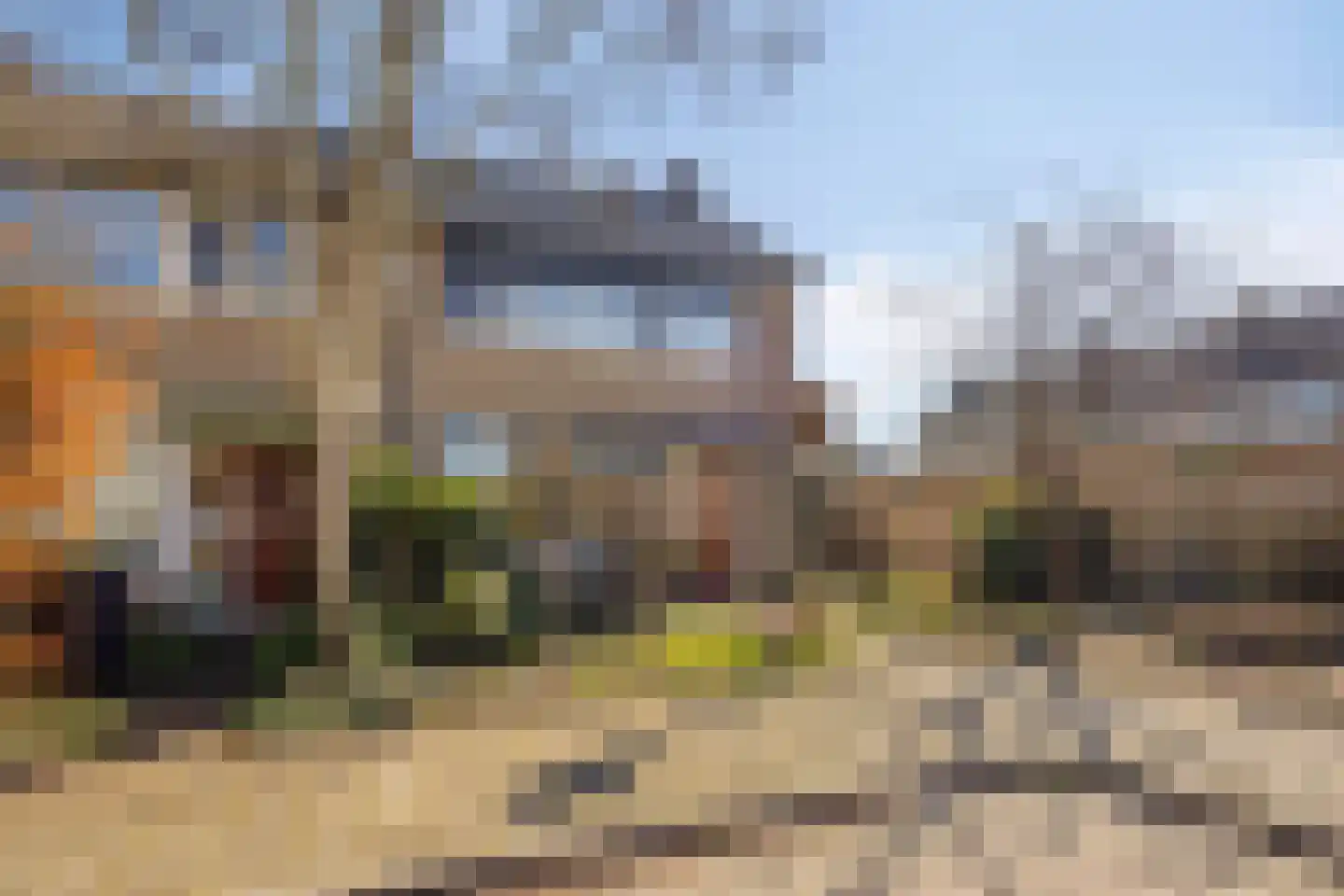 Schopenhauerstraat 231 Apeldoorn thumbnail 38