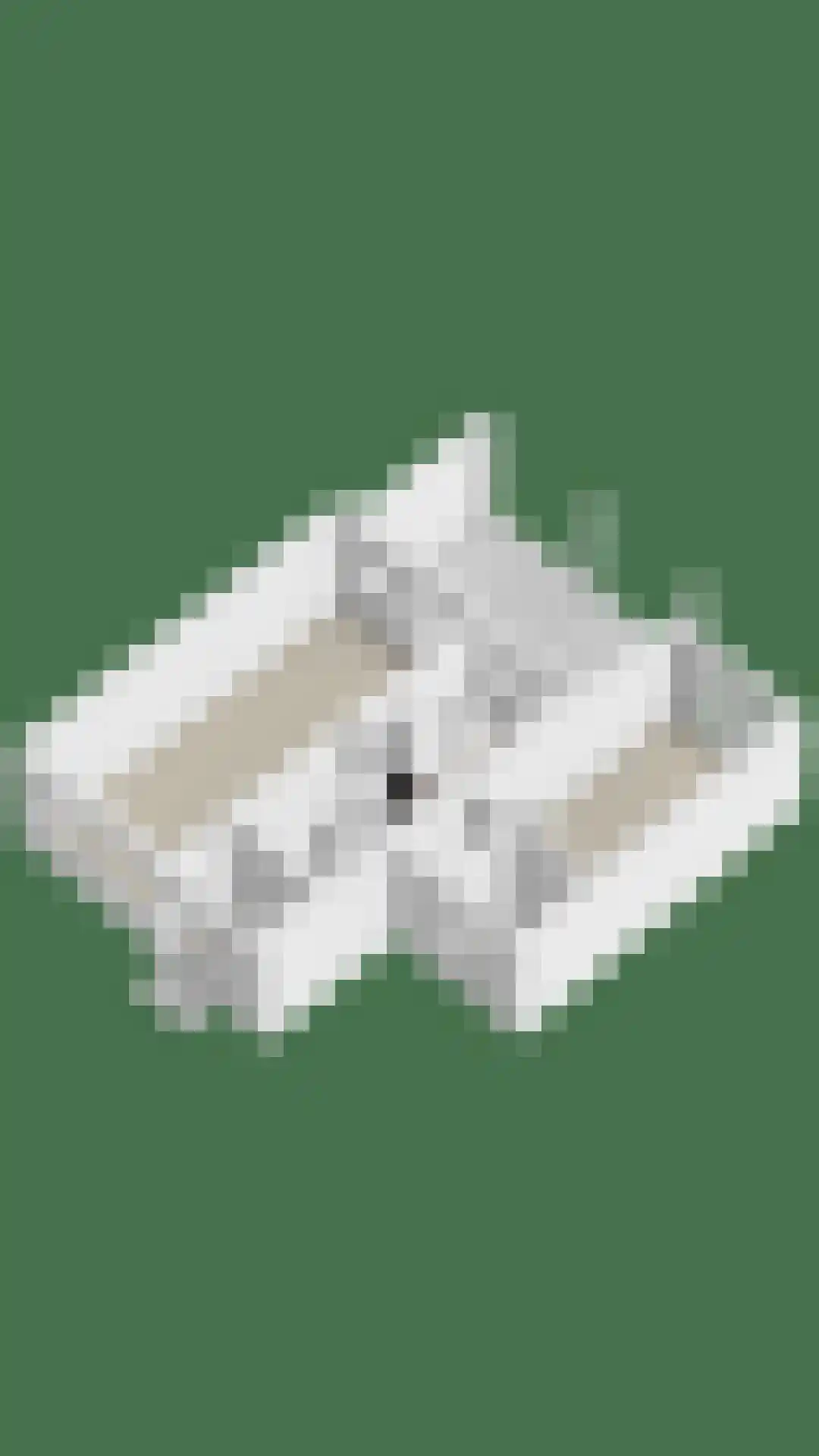 Schopenhauerstraat 231 Apeldoorn thumbnail 47