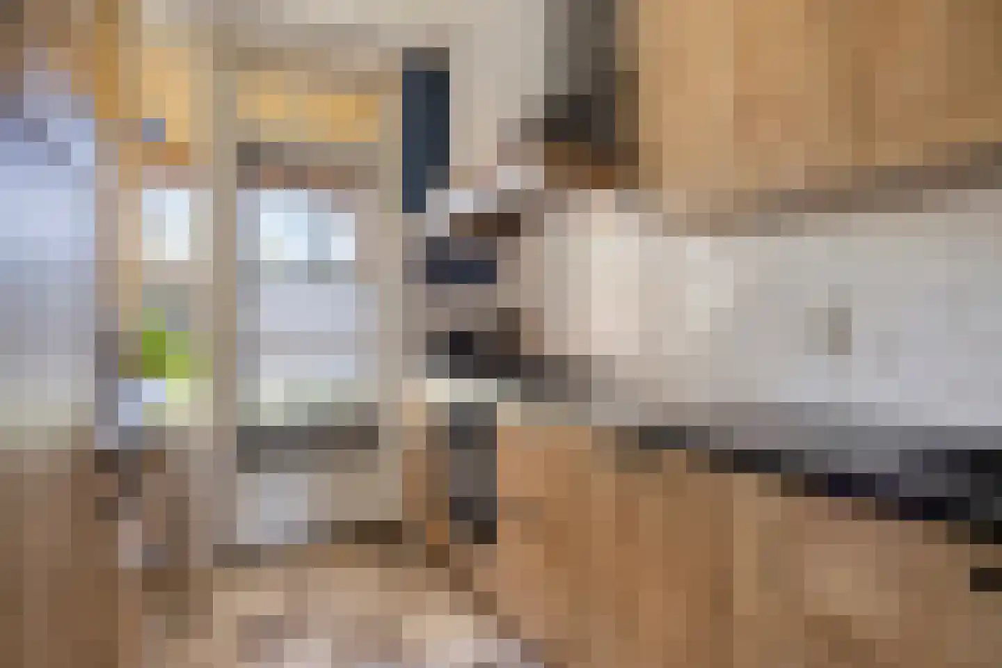 Schopenhauerstraat 231 Apeldoorn thumbnail 8