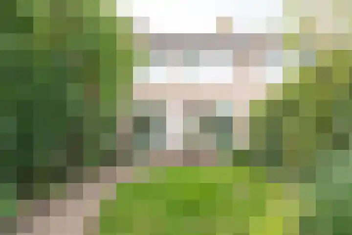 Schopenhauerstraat 245 Apeldoorn thumbnail 21