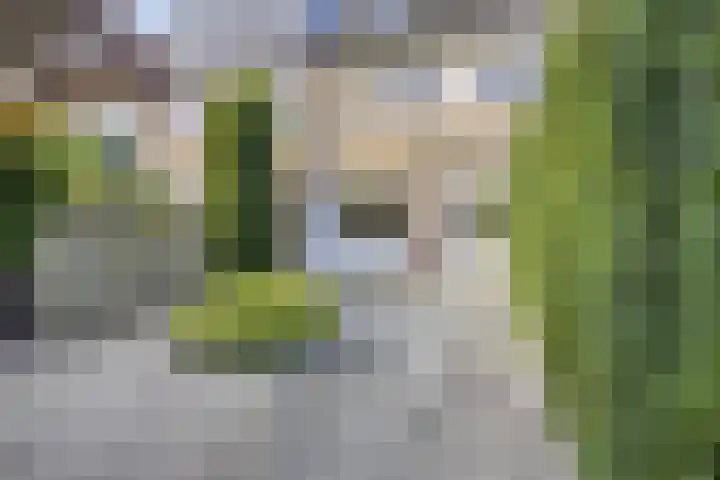 Schopenhauerstraat 63 Apeldoorn thumbnail 18