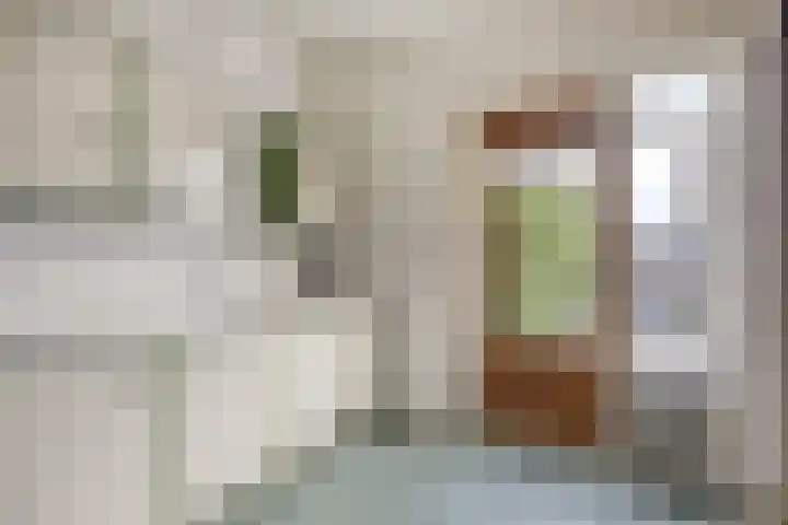 Schopenhauerstraat 63 Apeldoorn thumbnail 8