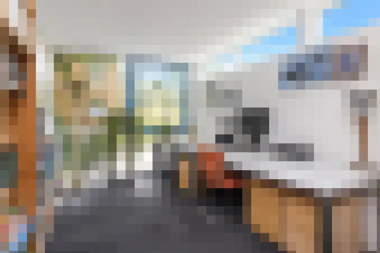 Schopenhauerweg 1 Rotterdam thumbnail 28