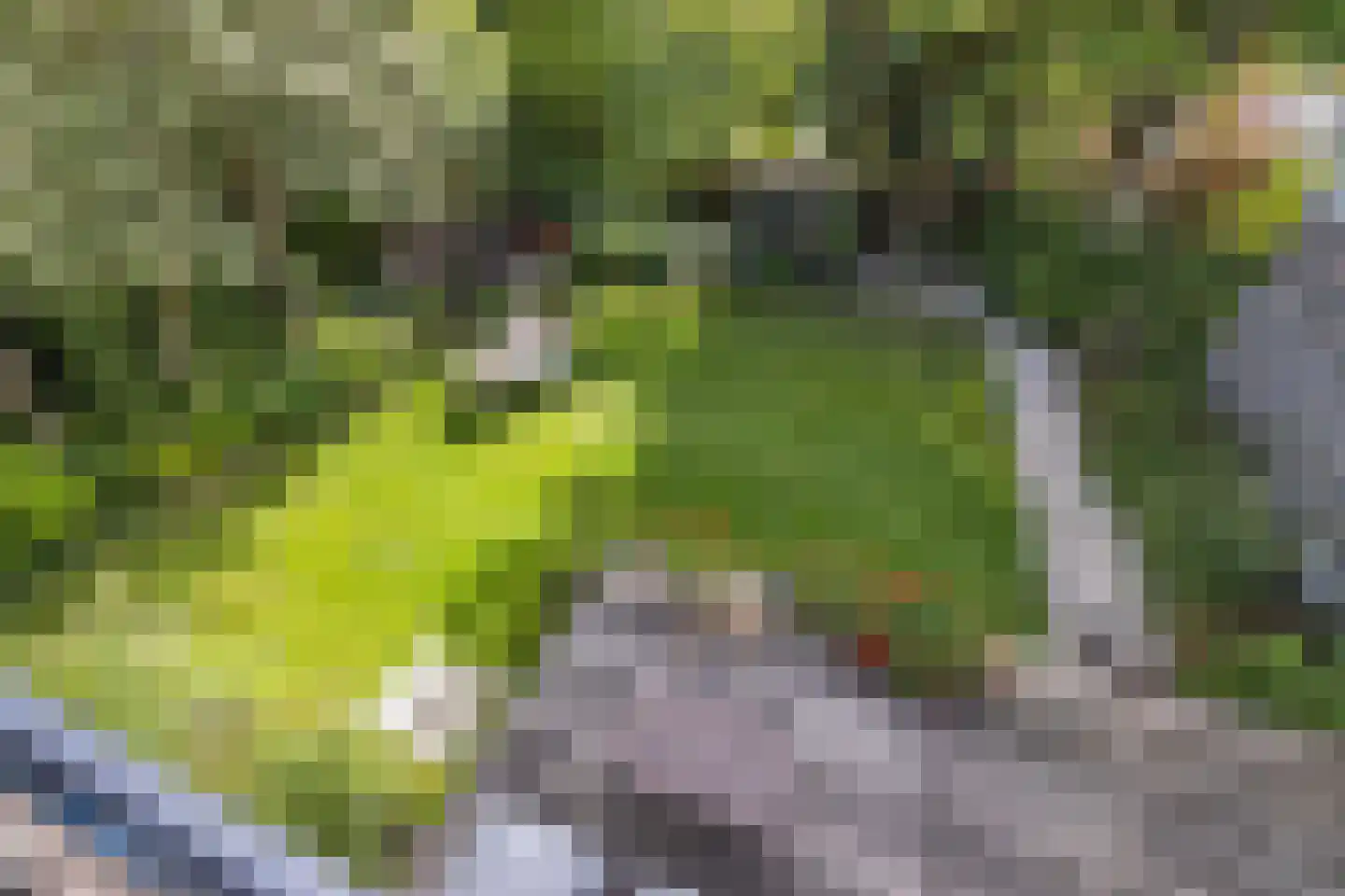 Schopenhauerweg 1 Rotterdam thumbnail 55