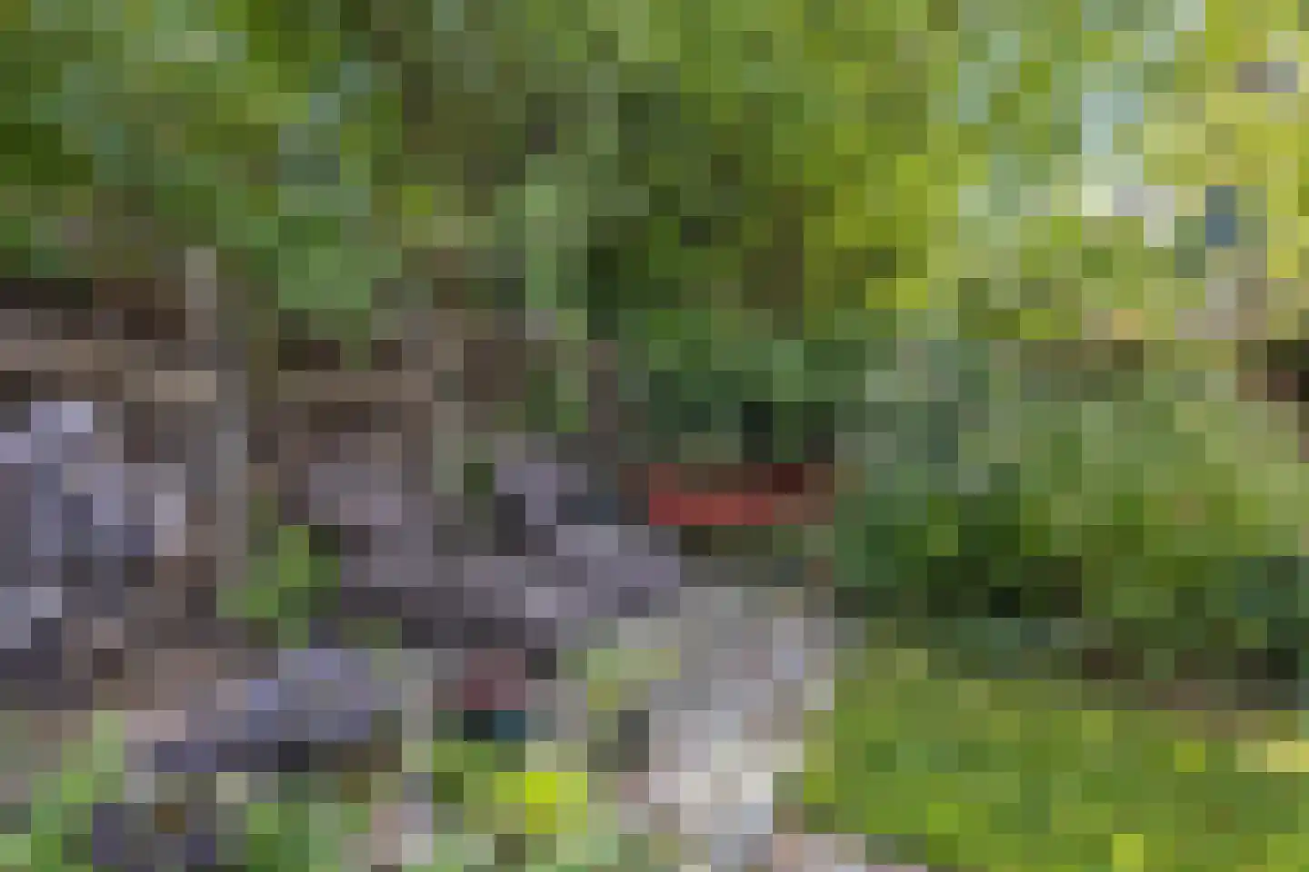 Schopenhauerweg 1 Rotterdam thumbnail 62