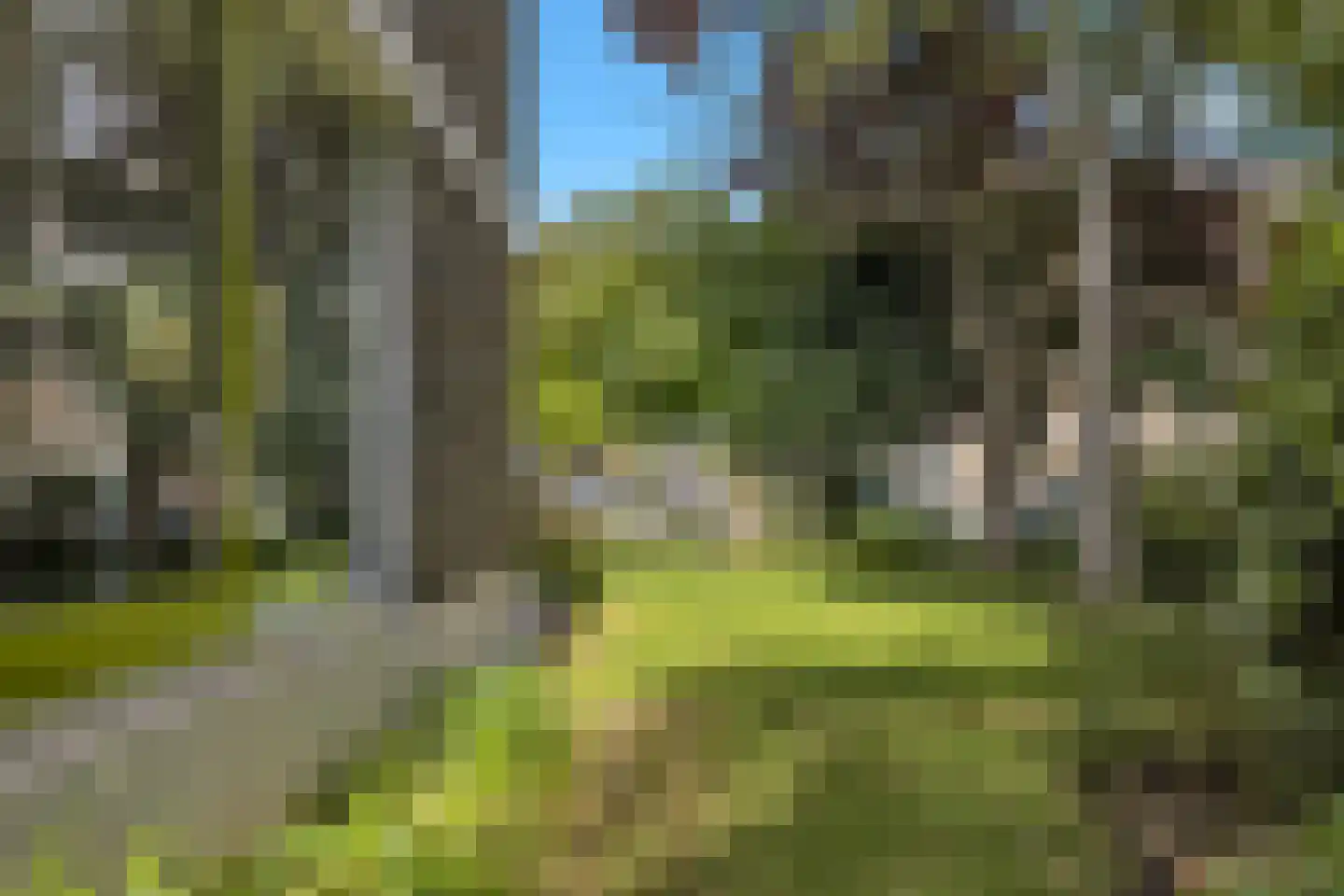 Schopenhauerweg 1 Rotterdam thumbnail 66