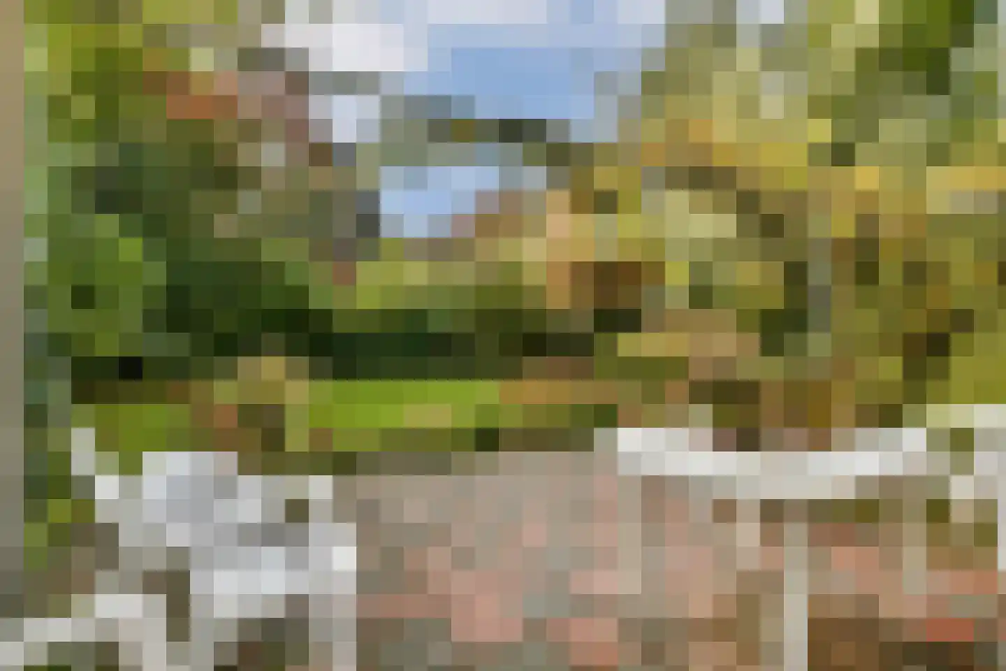 Schopenhauerweg 3 Rotterdam thumbnail 36
