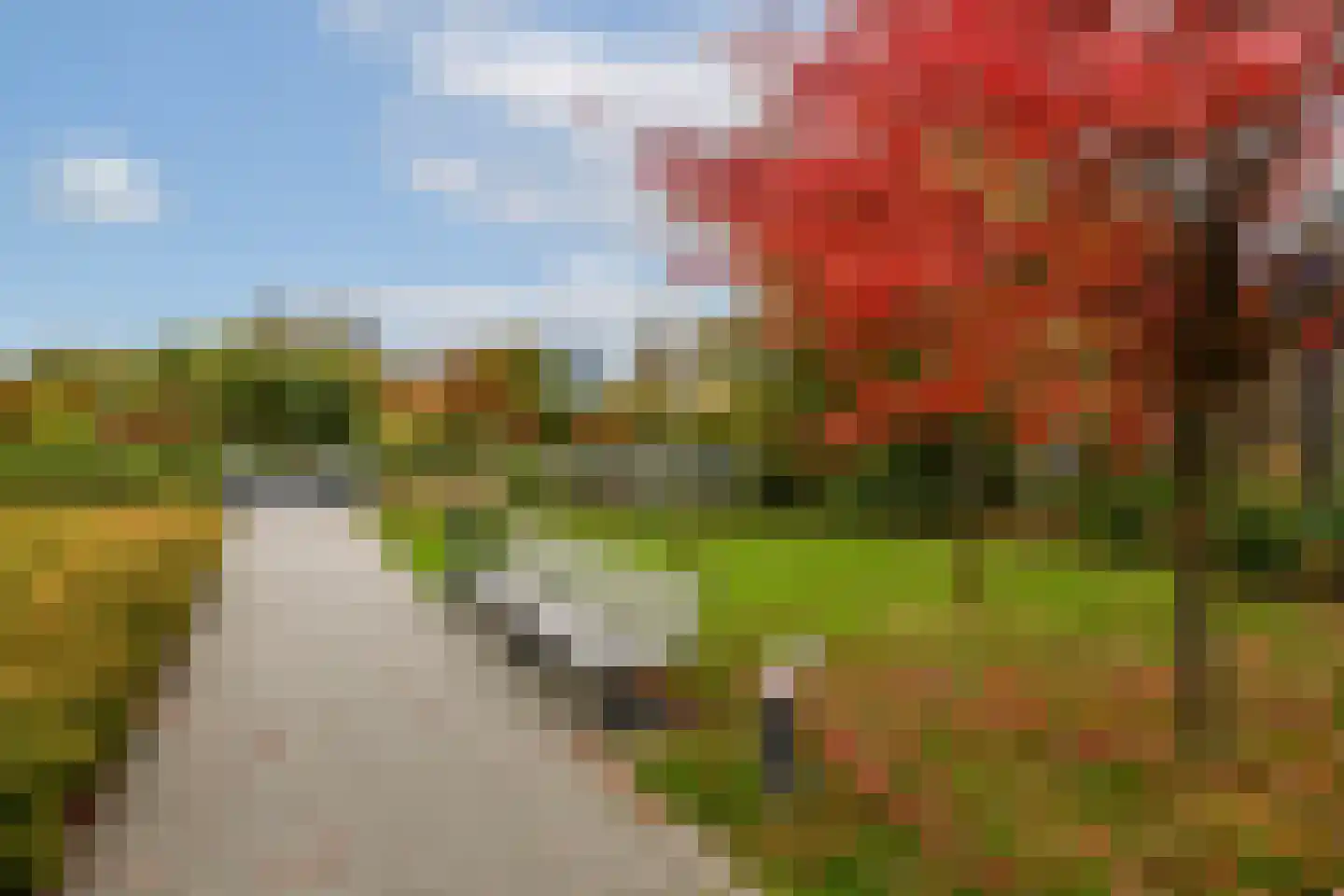 Schopenhauerweg 3 Rotterdam thumbnail 44