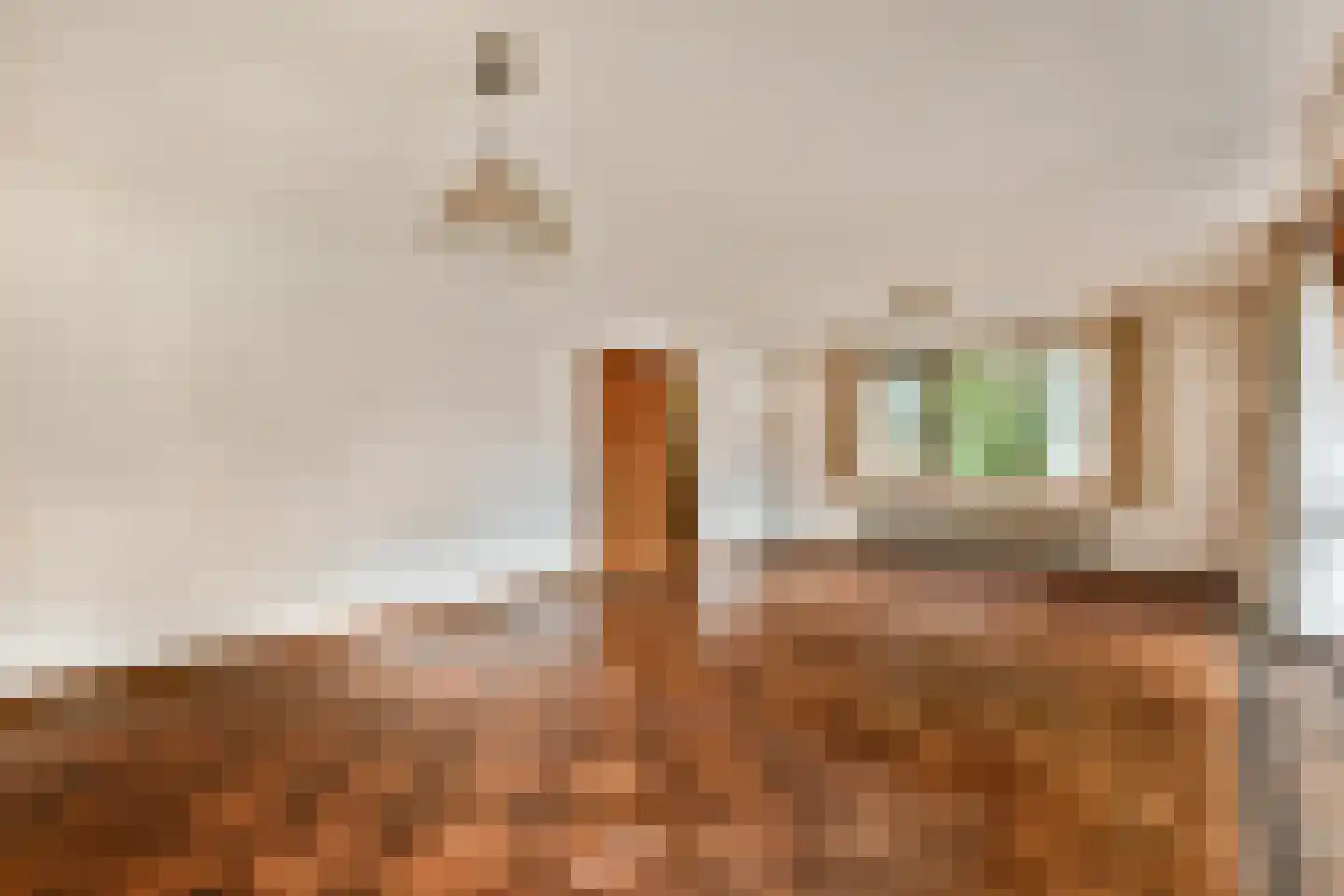 Schopenhauerweg 3 Rotterdam thumbnail 8