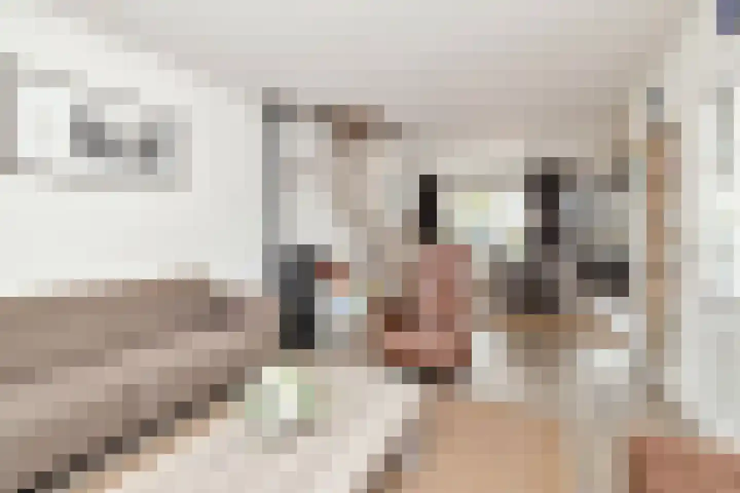 Schopmanlanden 15 Enschede thumbnail 11