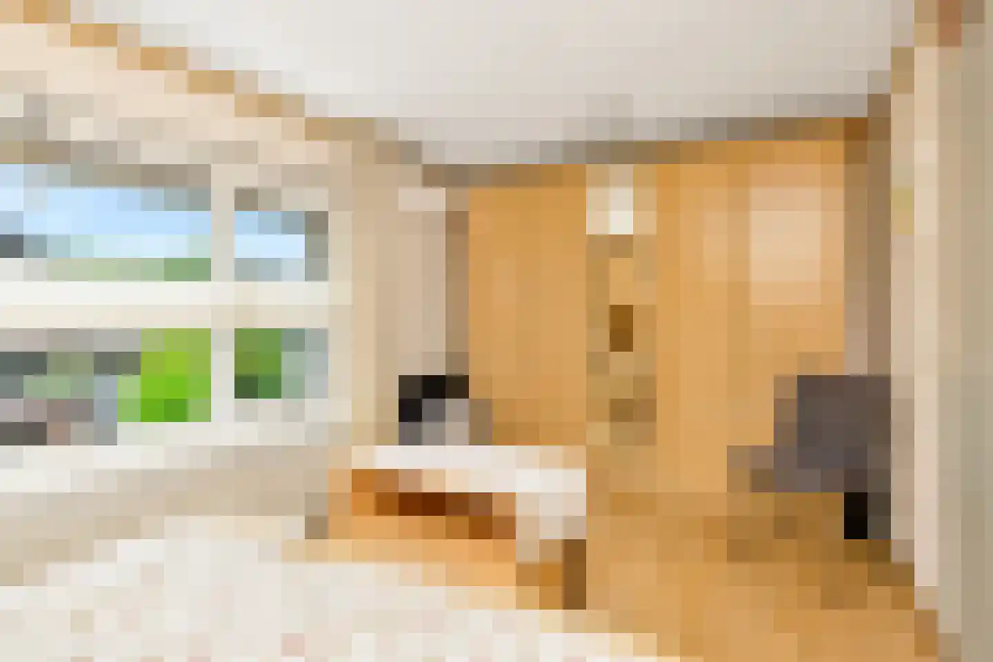 Schopmanlanden 15 Enschede thumbnail 19