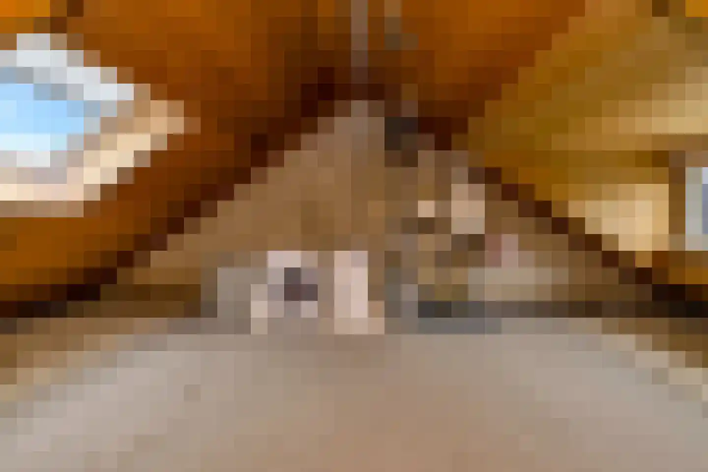 Schopmanlanden 15 Enschede thumbnail 29