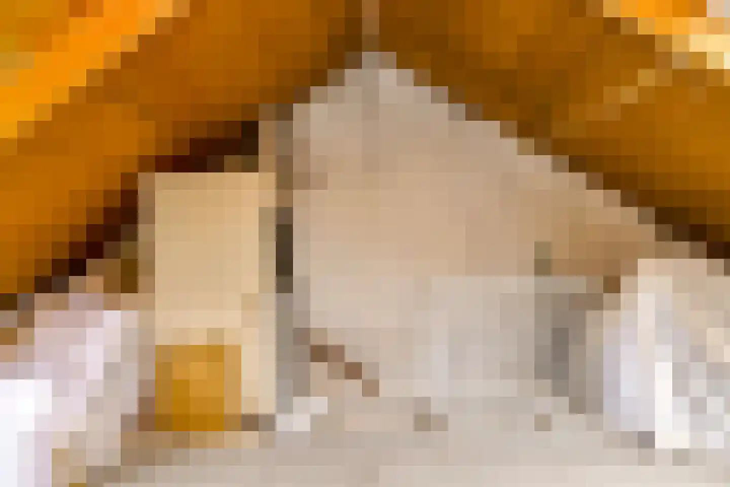 Schopmanlanden 15 Enschede thumbnail 32