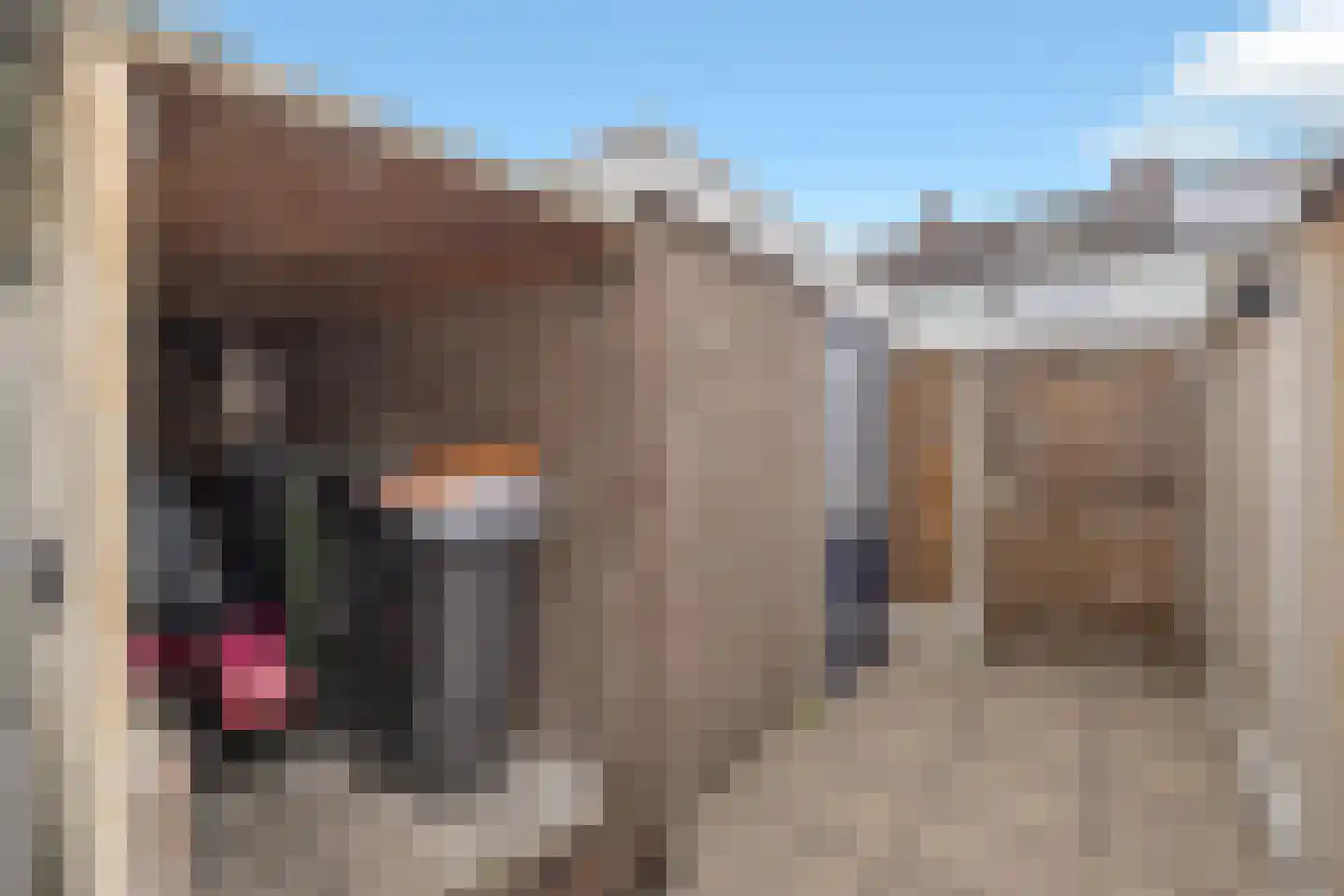 Schopmanlanden 15 Enschede thumbnail 38
