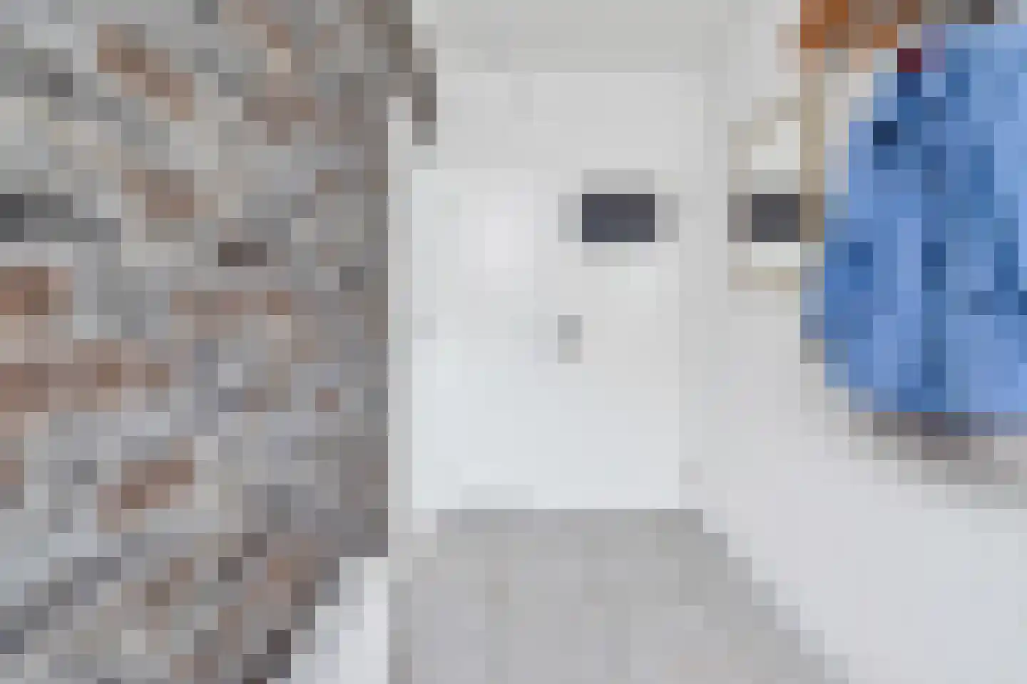 Schopmanlanden 15 Enschede thumbnail 5