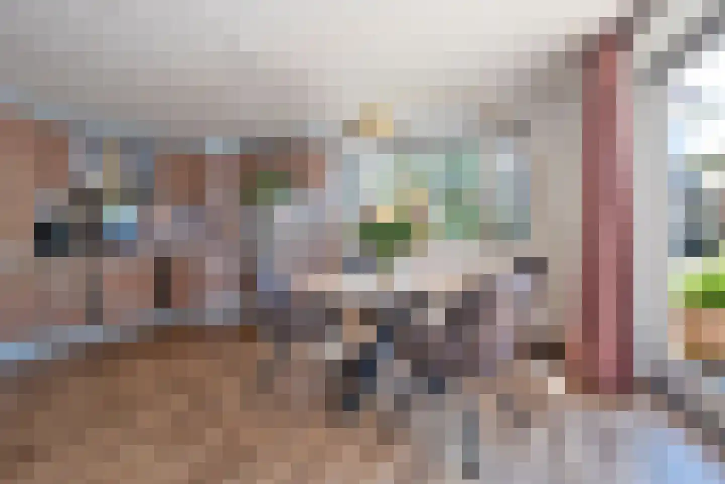 Schoppenstede 14 Delden thumbnail 15