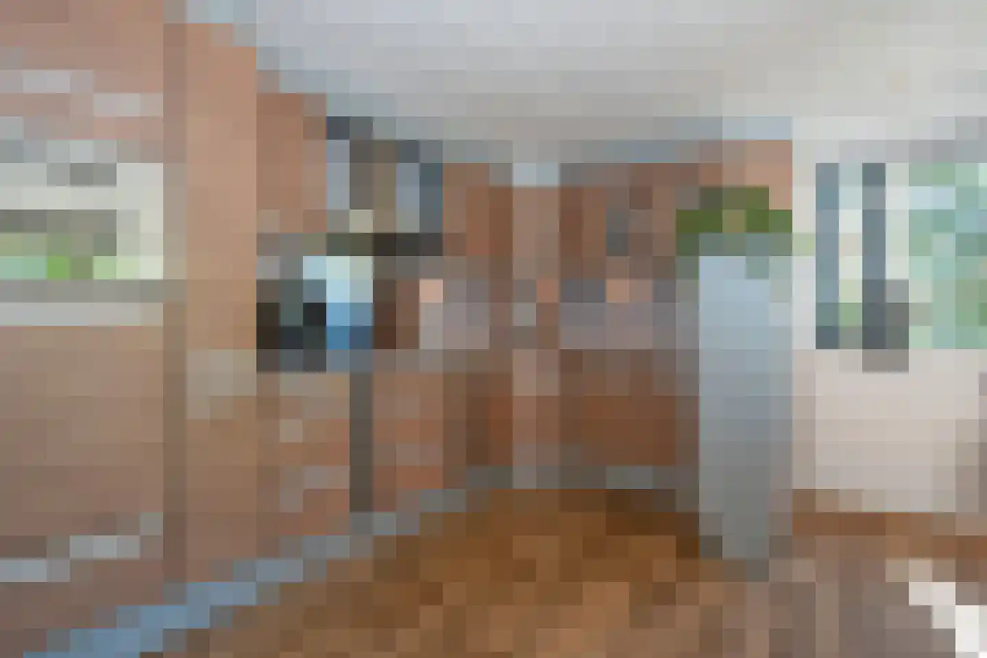 Schoppenstede 14 Delden thumbnail 21