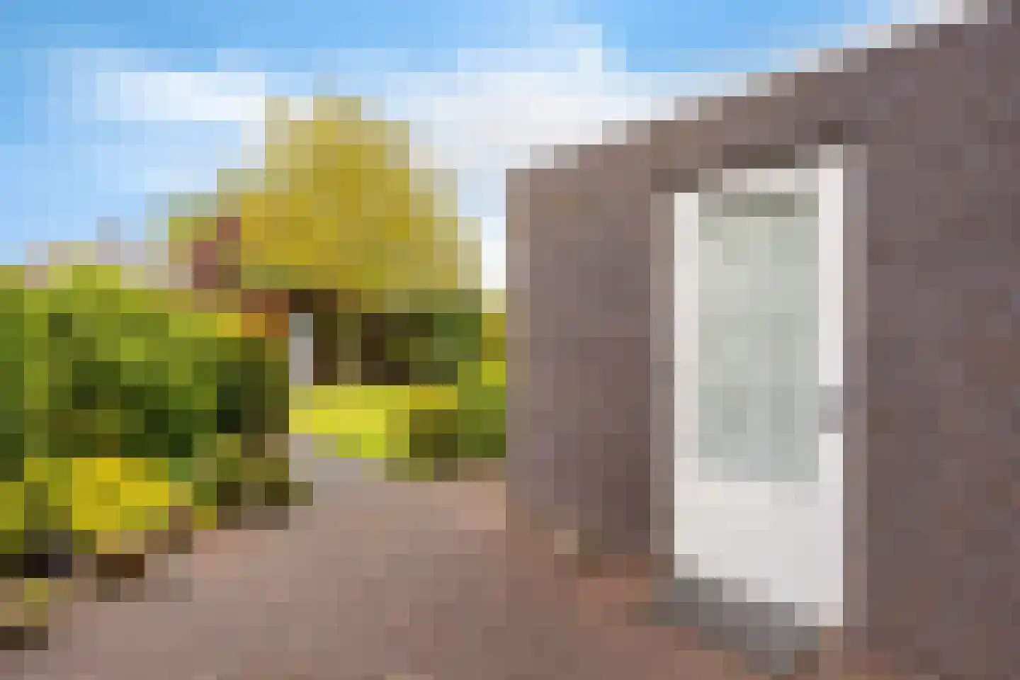 Schor 16 Delfzijl thumbnail 16