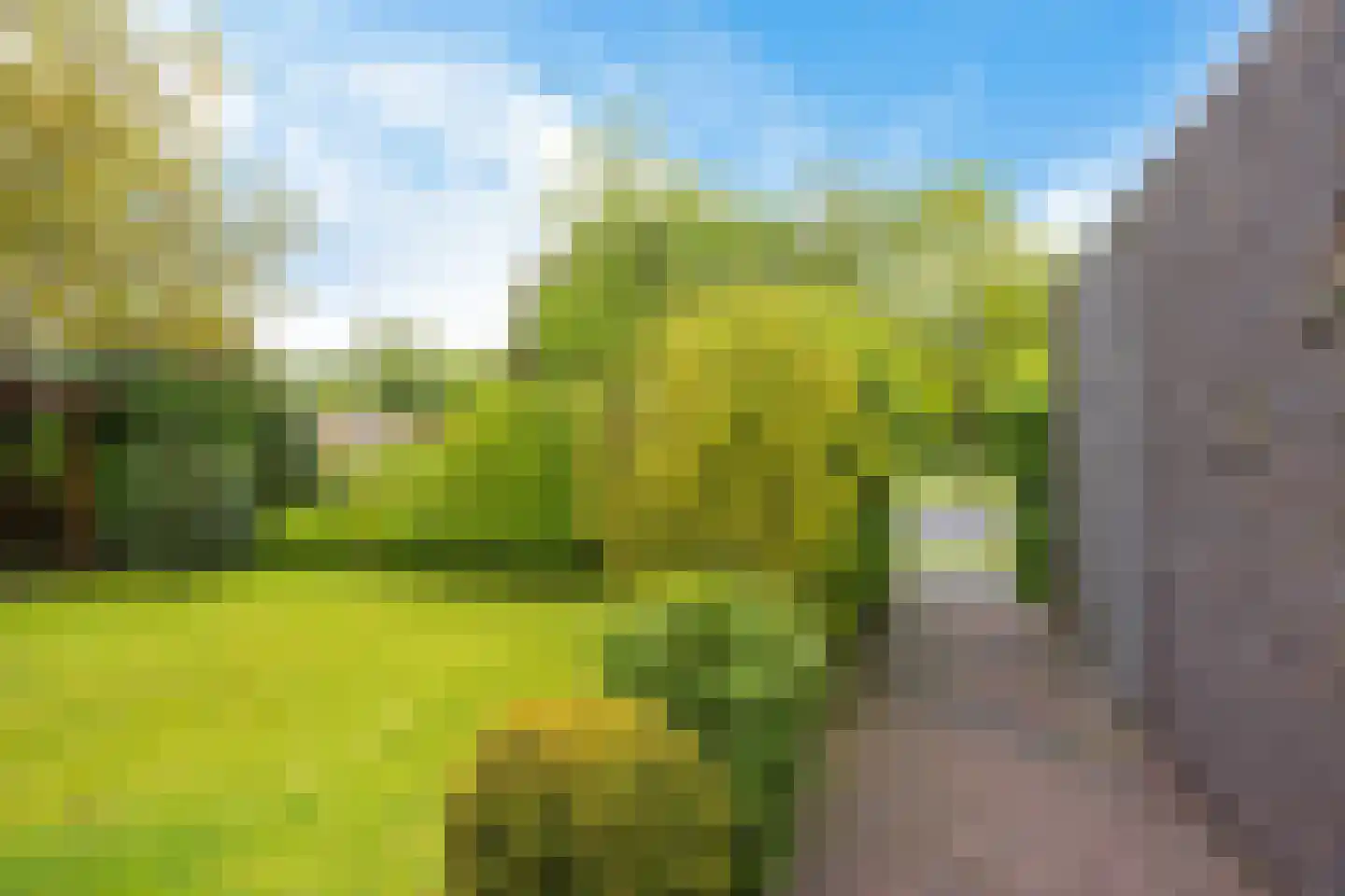 Schor 16 Delfzijl thumbnail 17