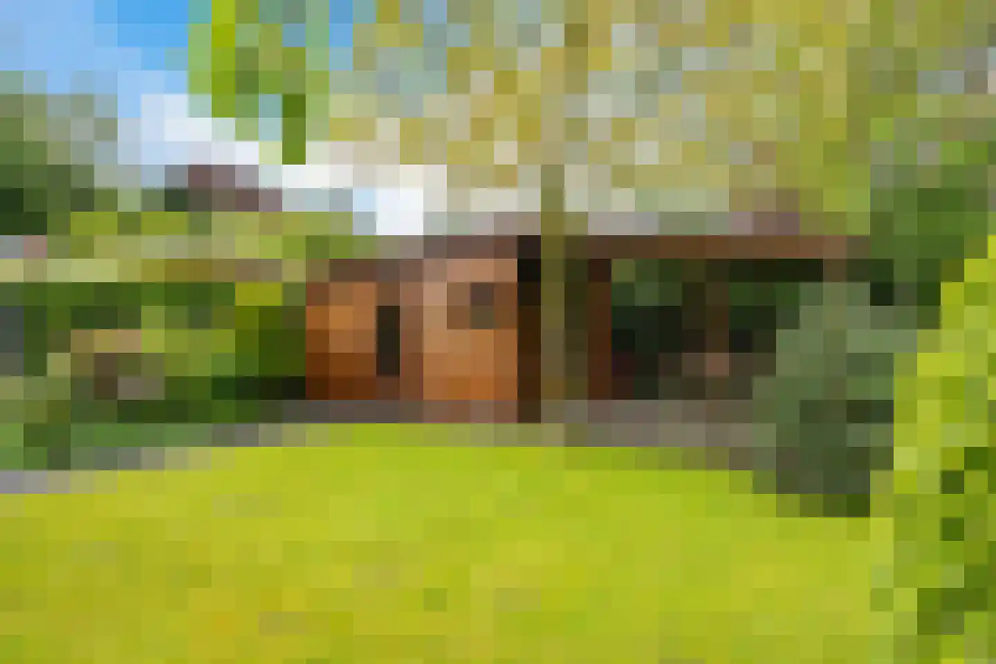 Schor 16 Delfzijl thumbnail 18