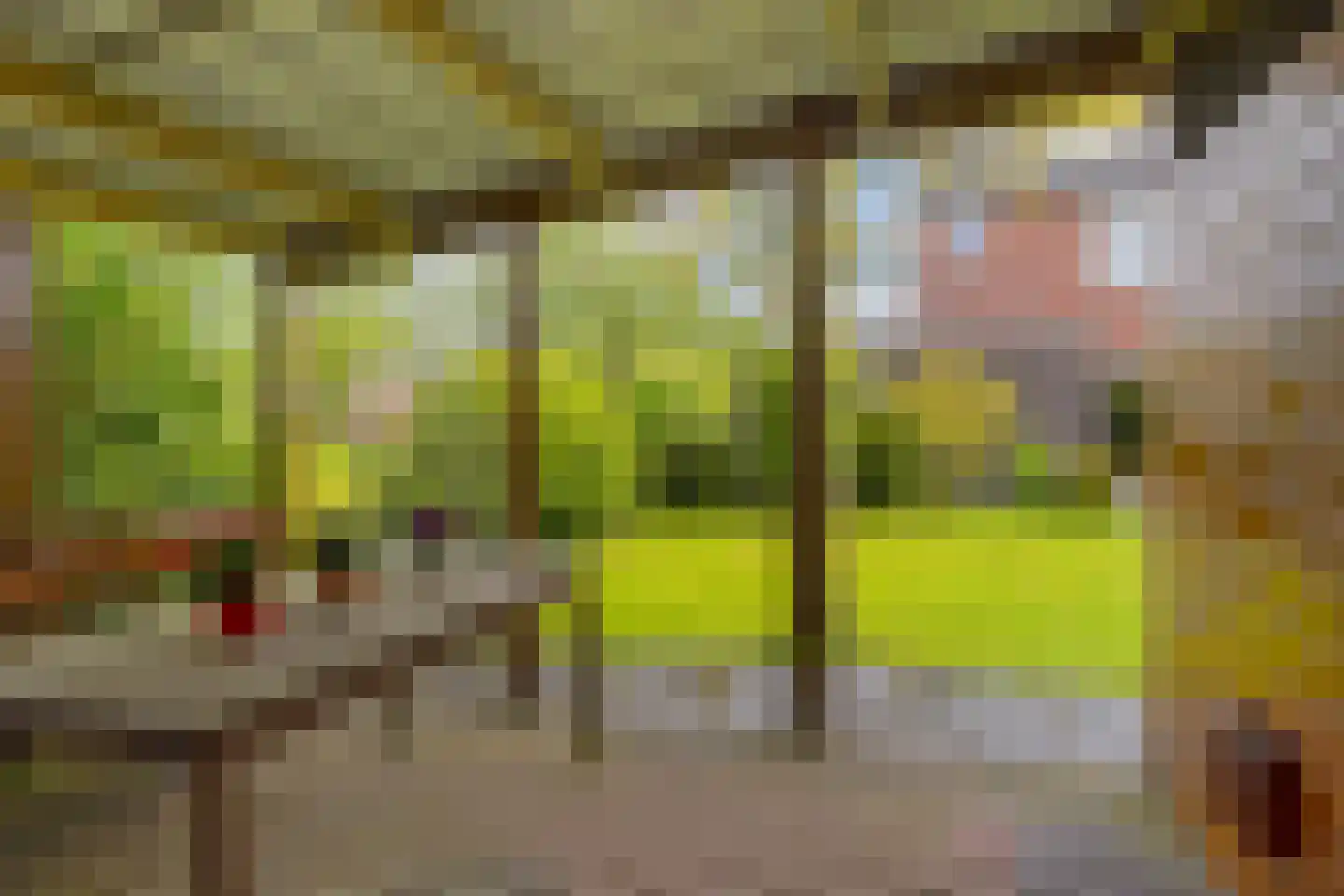 Schor 16 Delfzijl thumbnail 21