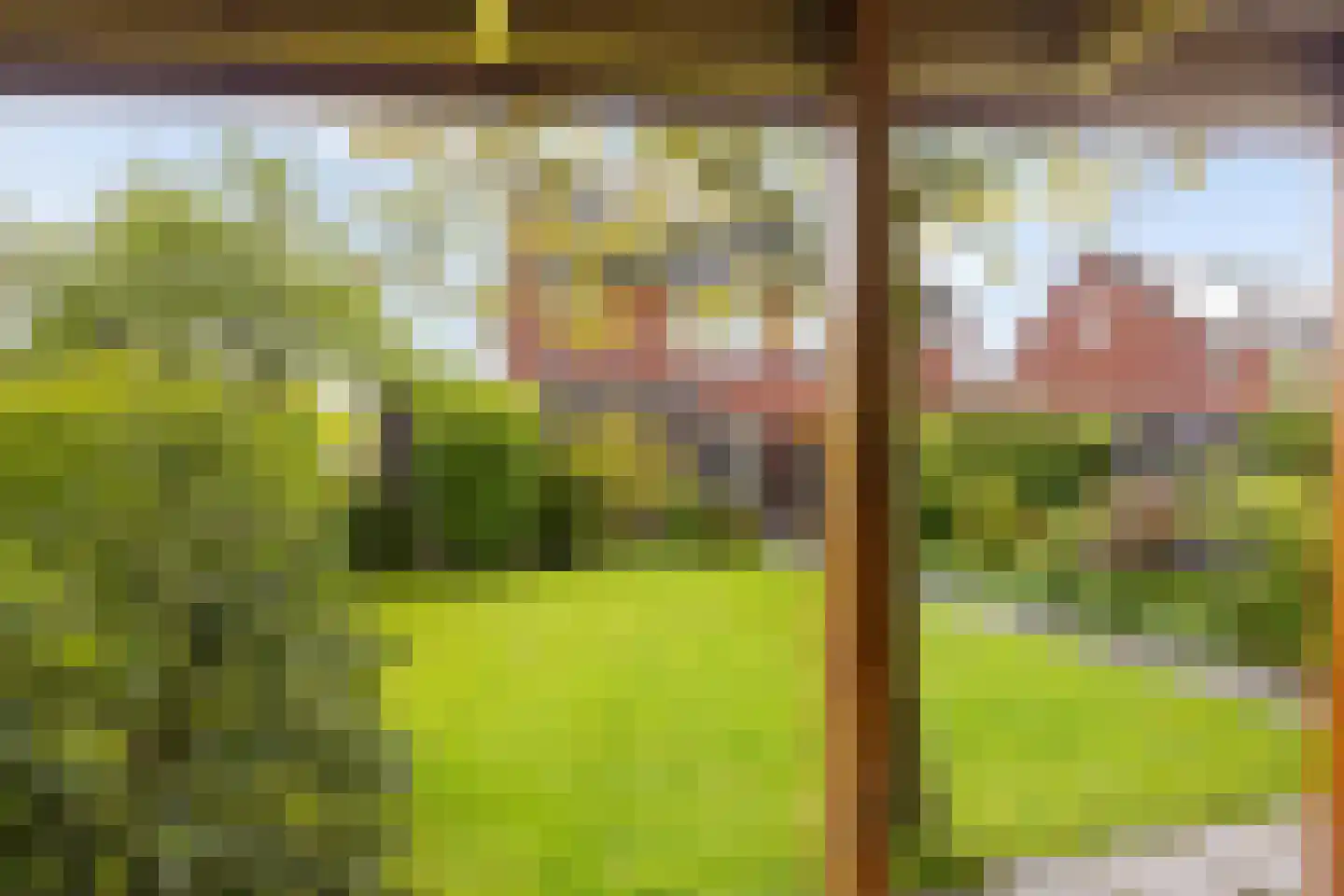 Schor 16 Delfzijl thumbnail 23