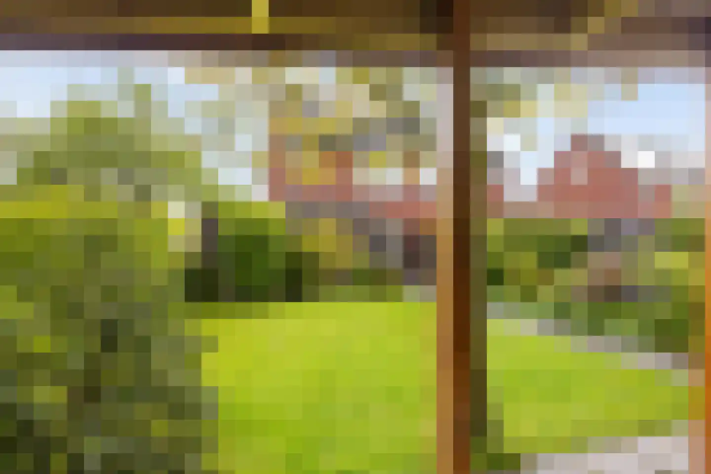 Schor 16 Delfzijl thumbnail 23