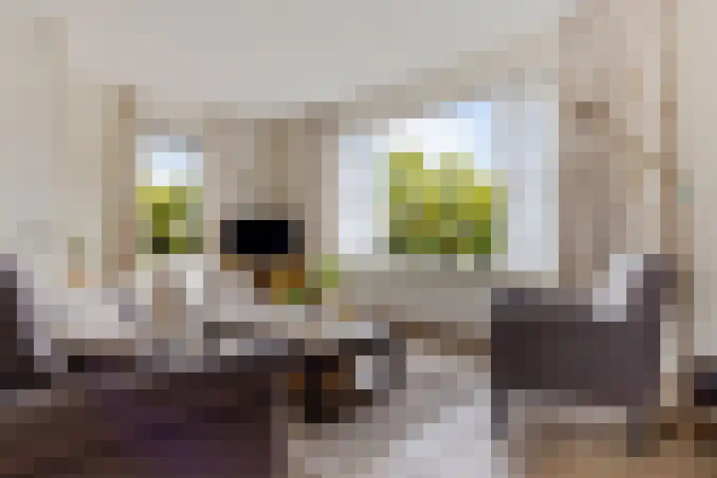 Schor 16 Delfzijl thumbnail 28