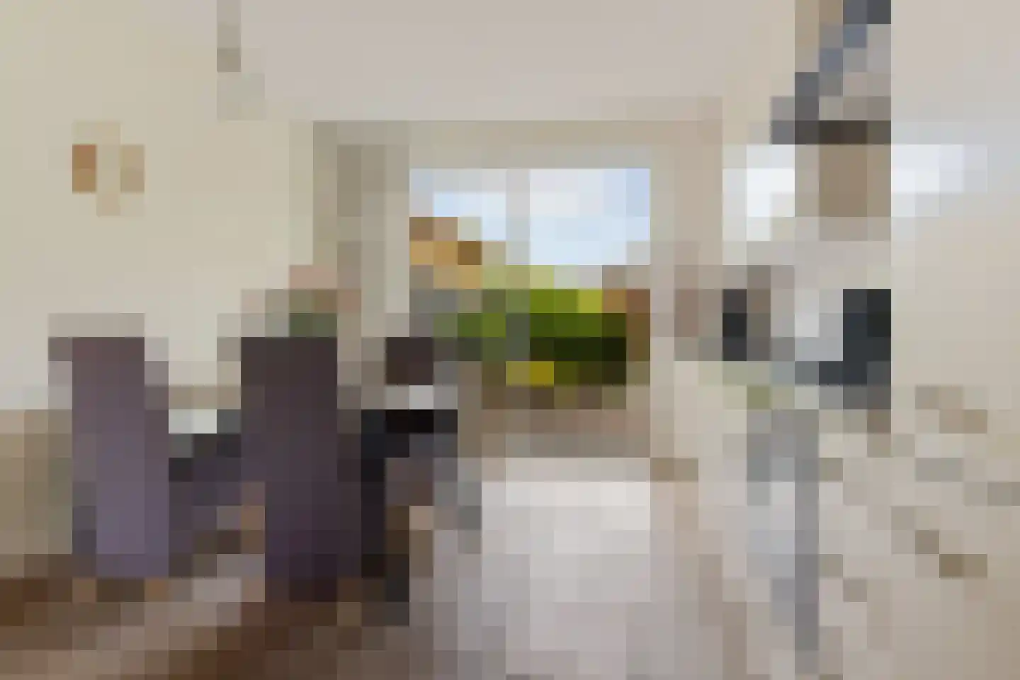 Schor 16 Delfzijl thumbnail 5
