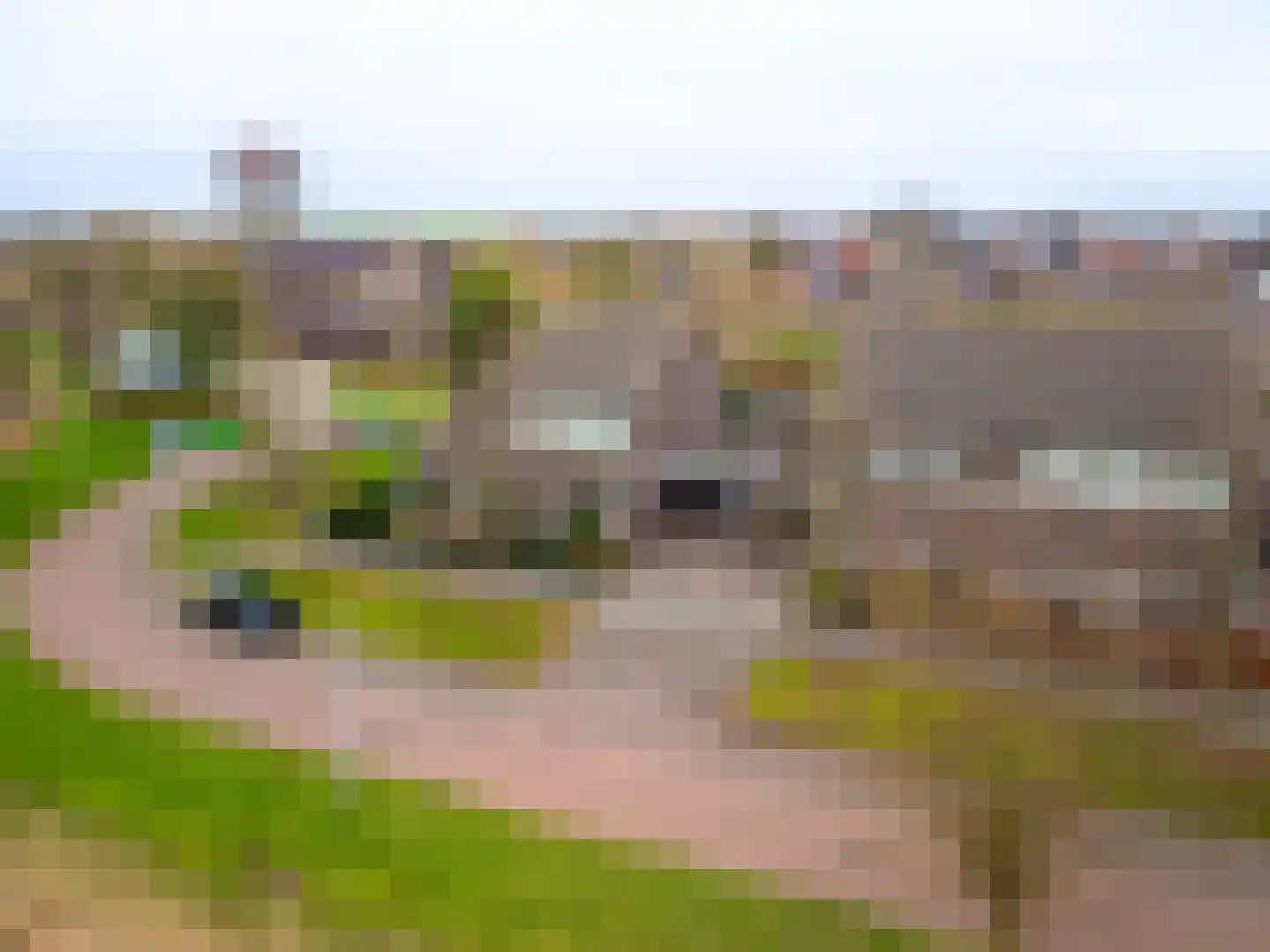 Schor 35 Delfzijl thumbnail 11