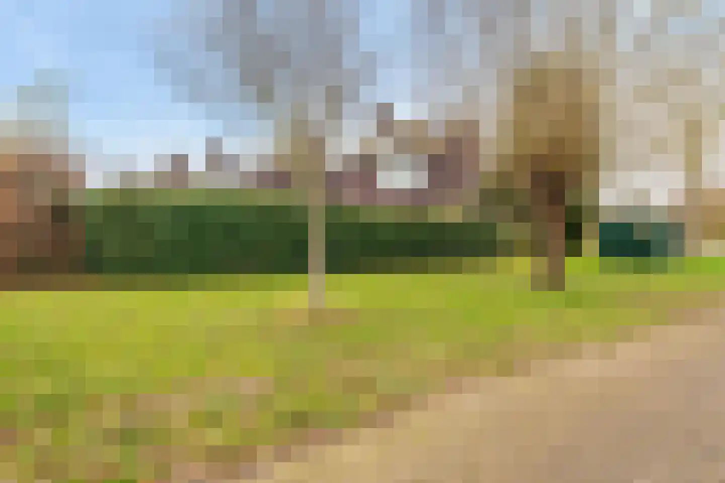 Schor 35 Delfzijl thumbnail 16