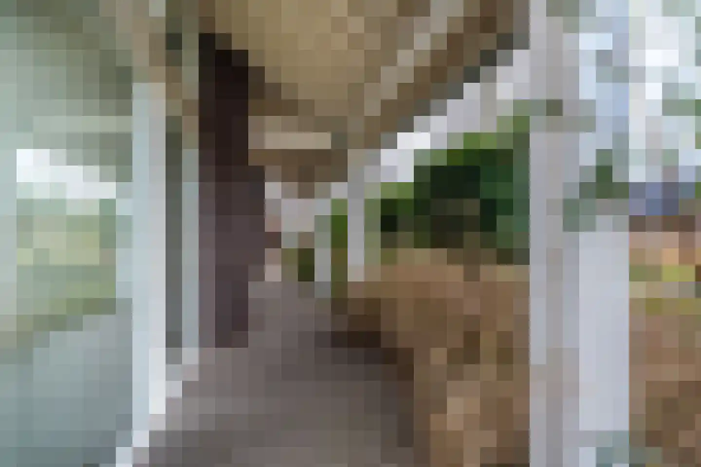 Schor 35 Delfzijl thumbnail 19