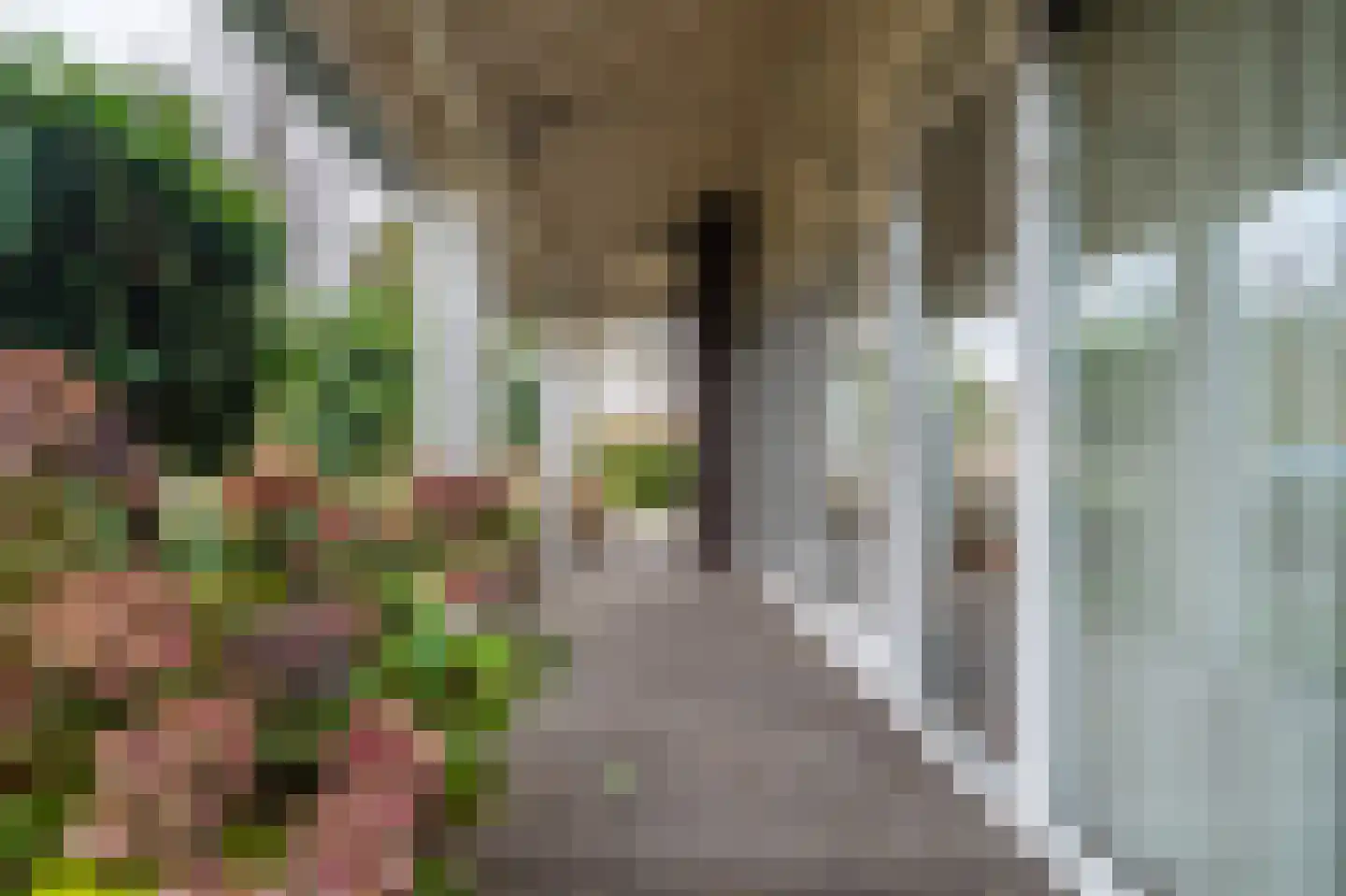 Schor 35 Delfzijl thumbnail 21