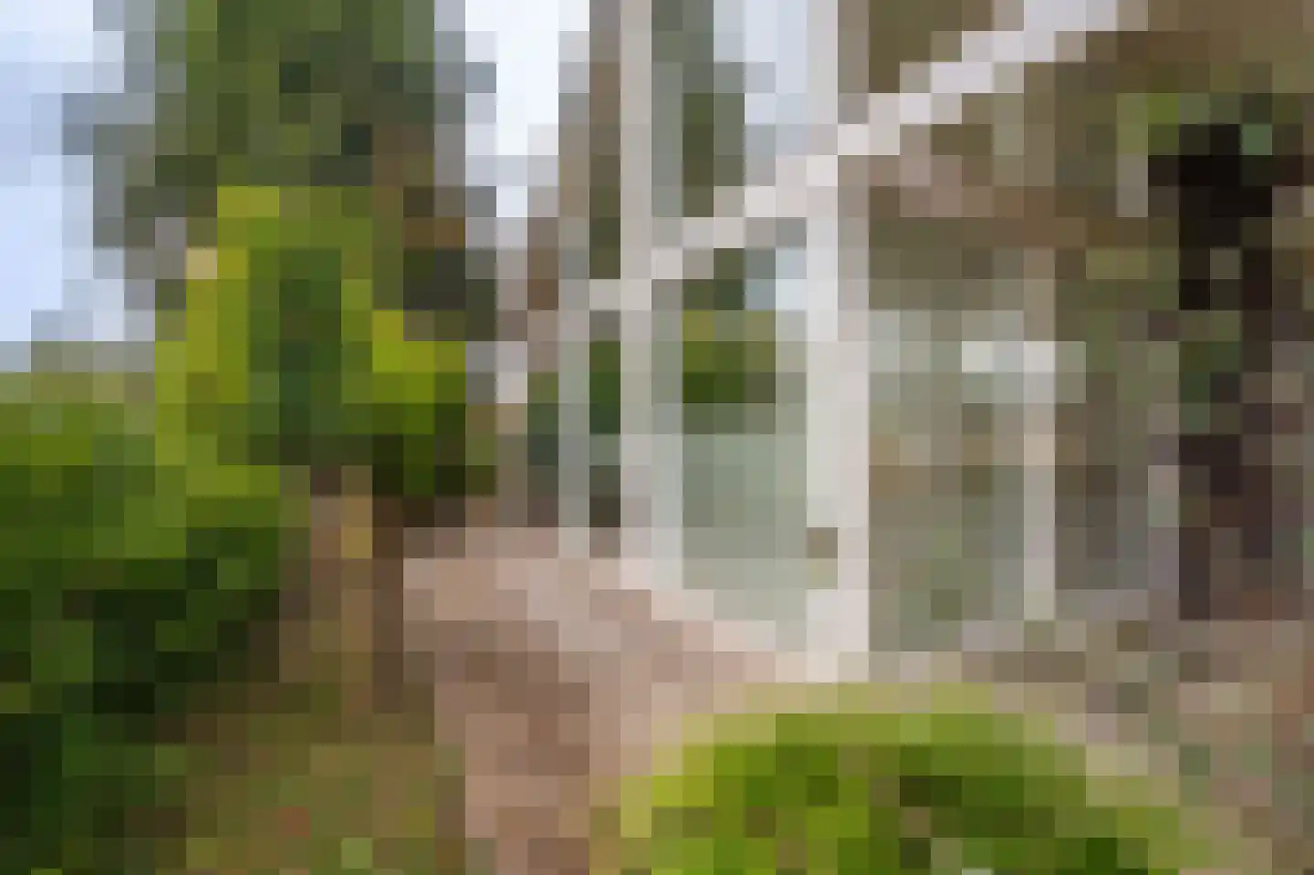 Schor 35 Delfzijl thumbnail 22