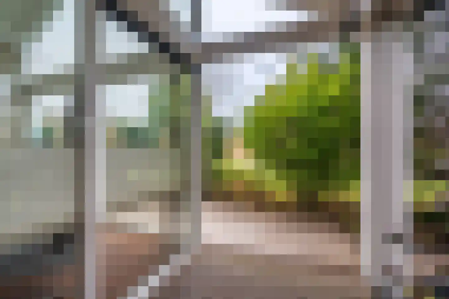 Schor 35 Delfzijl thumbnail 23