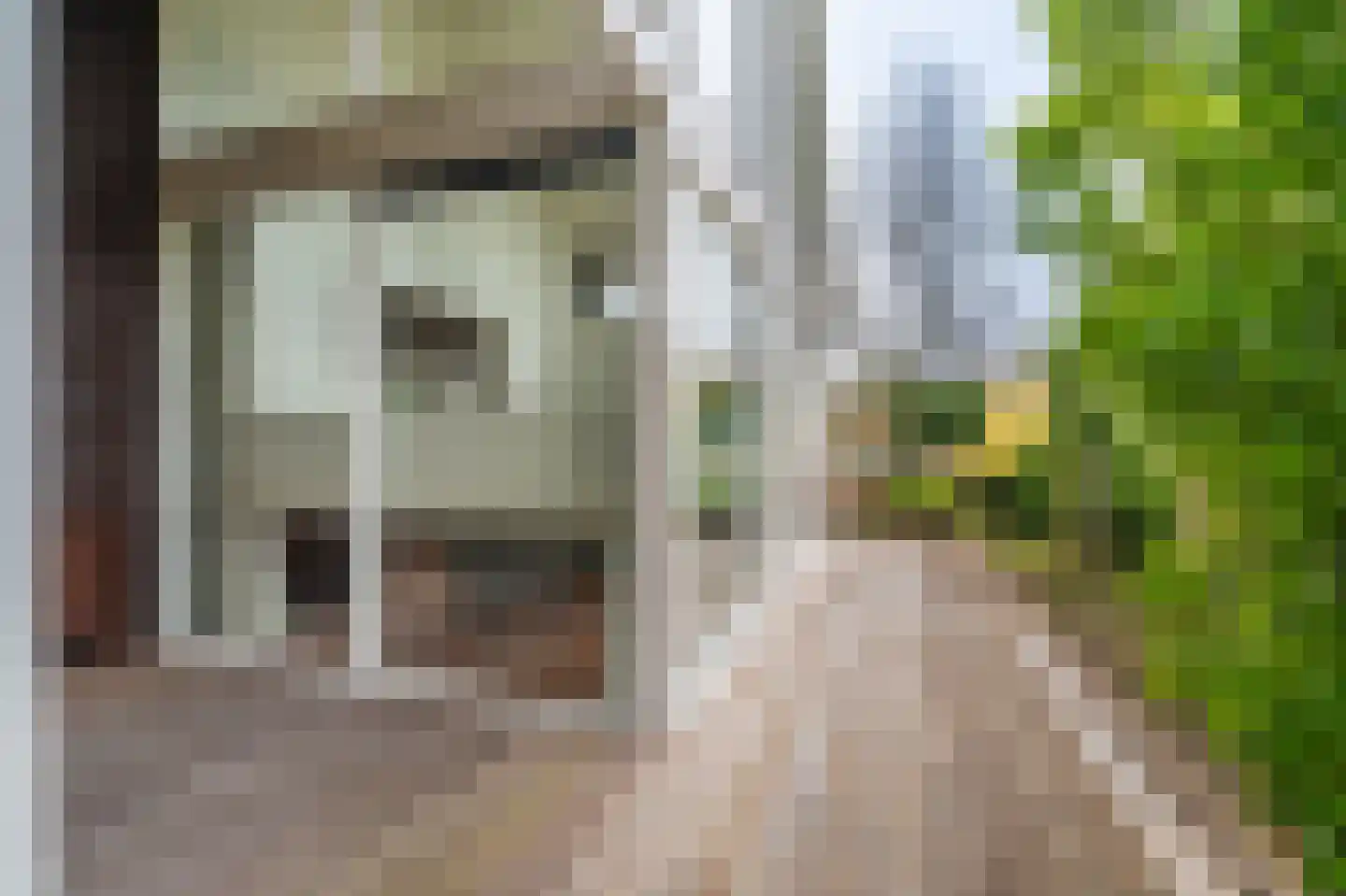 Schor 35 Delfzijl thumbnail 24