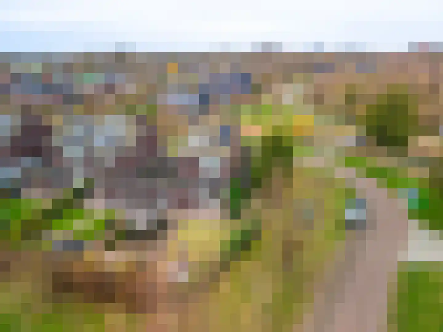 Schor 35 Delfzijl thumbnail 8