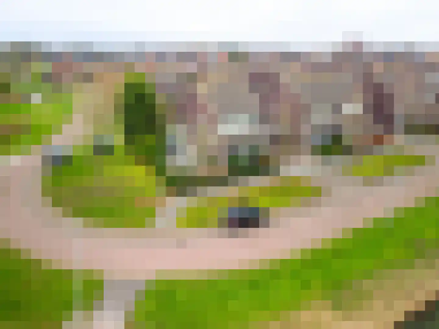 Schor 35 Delfzijl thumbnail 9