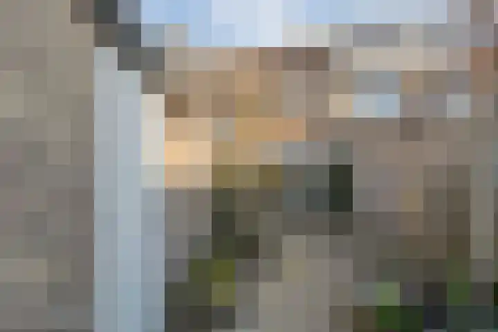 Schorerstraat 25 Arnemuiden thumbnail 38